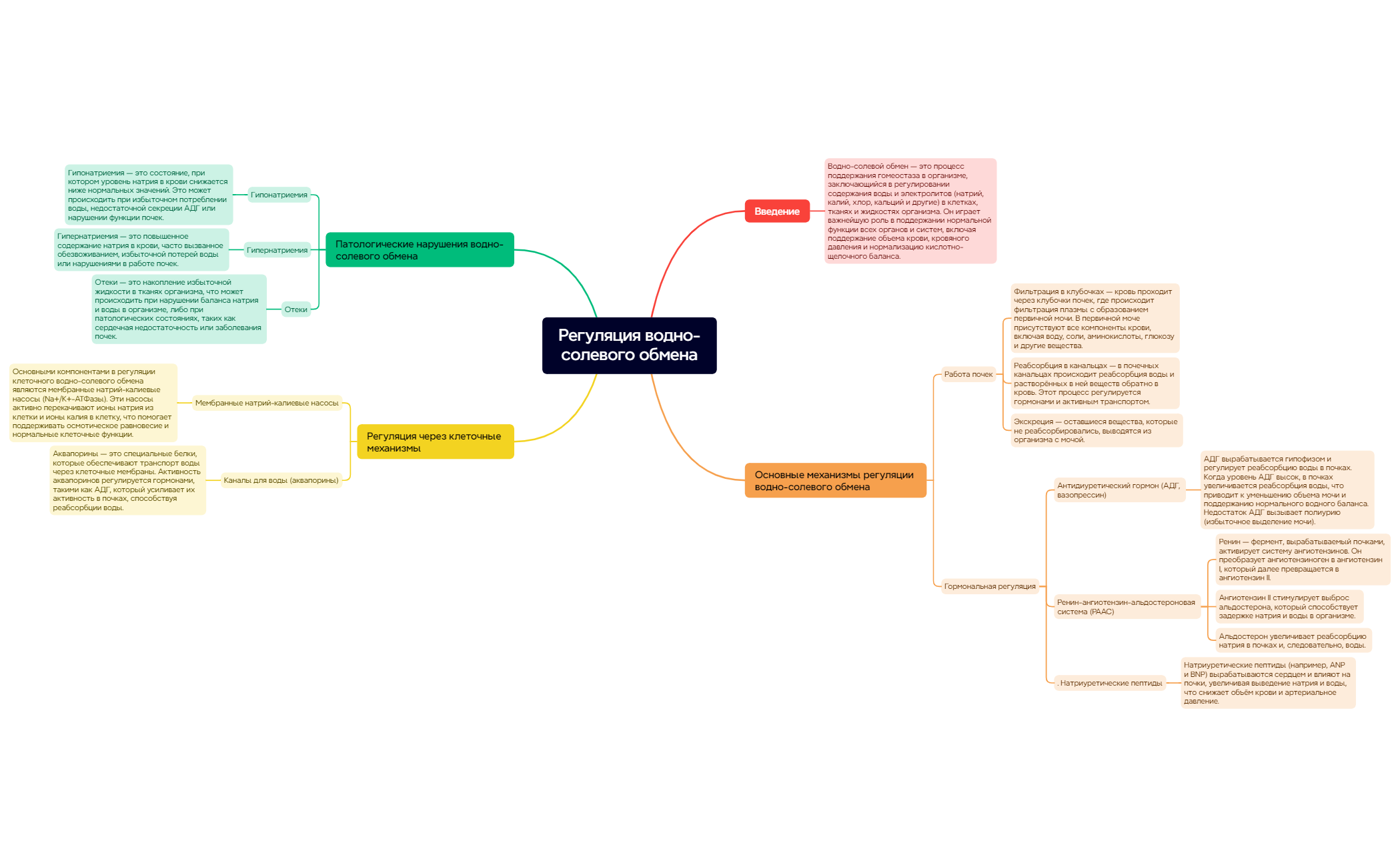 Регуляция водно-солевого обмена preview 1