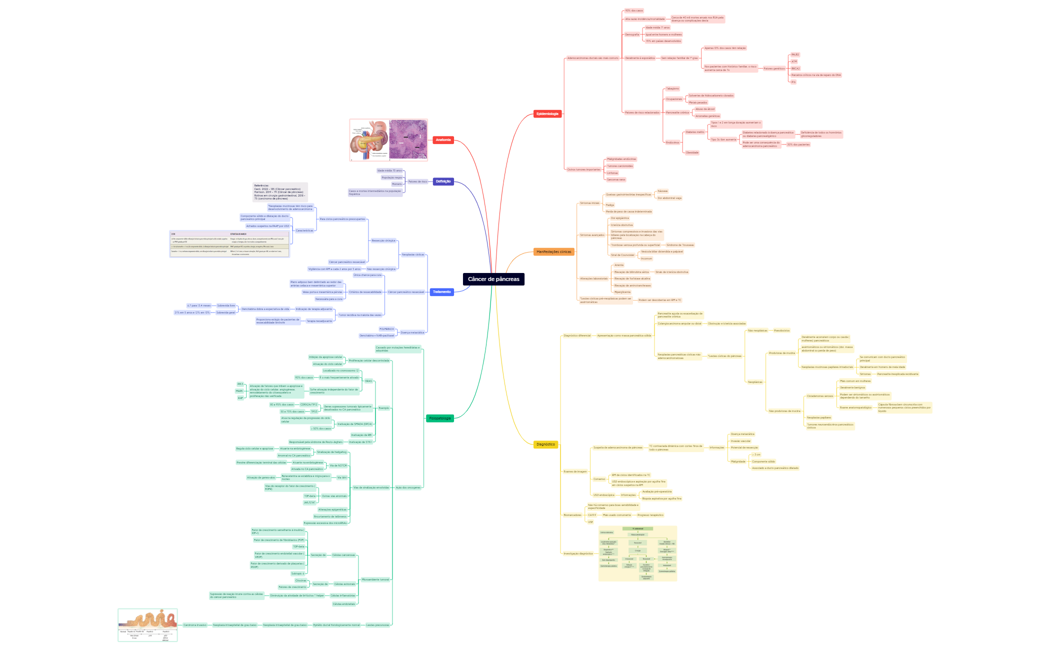 Map 1 - XMind Template