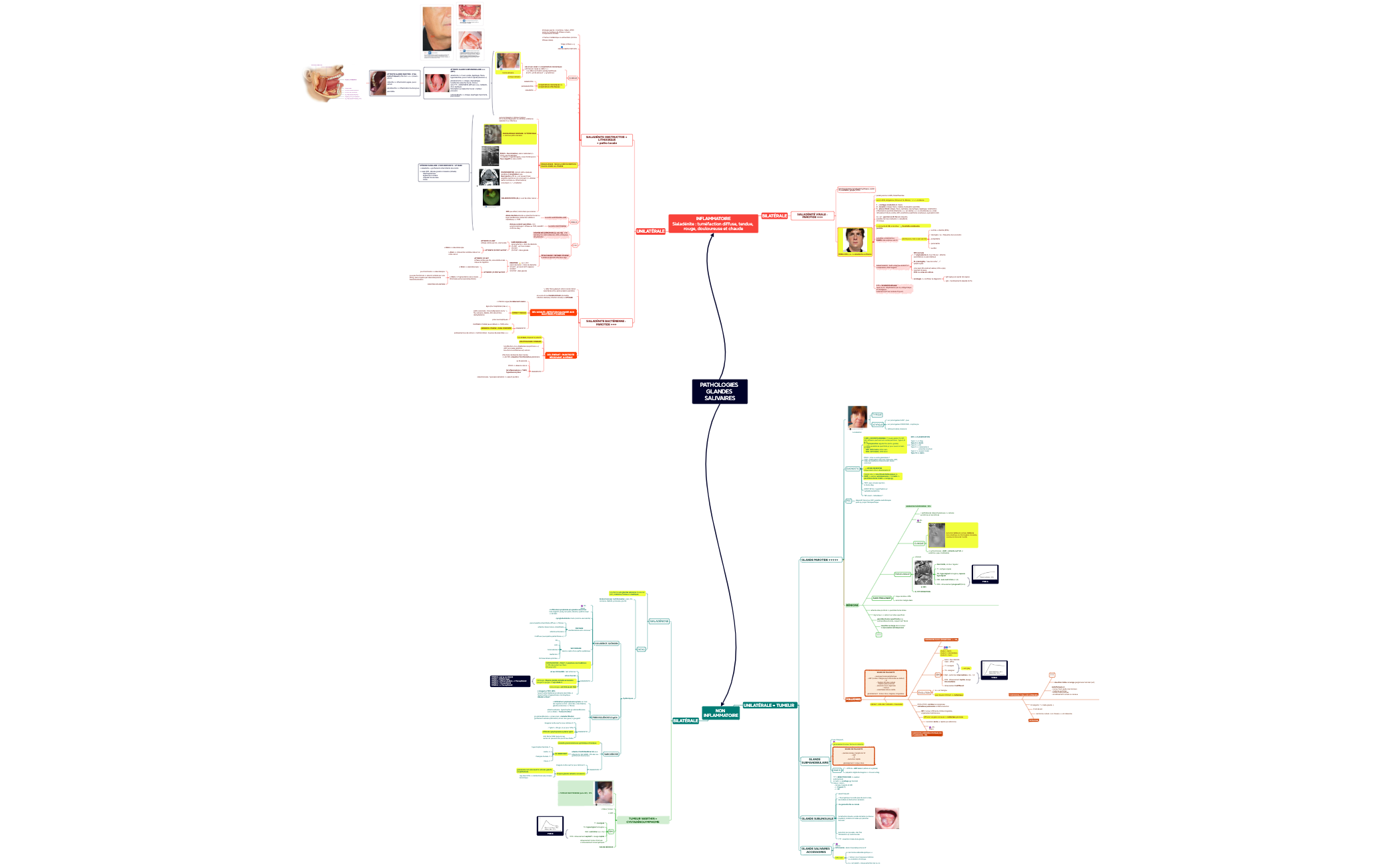 PATHOLOGIES GLANDES SALIVAIRES preview 1