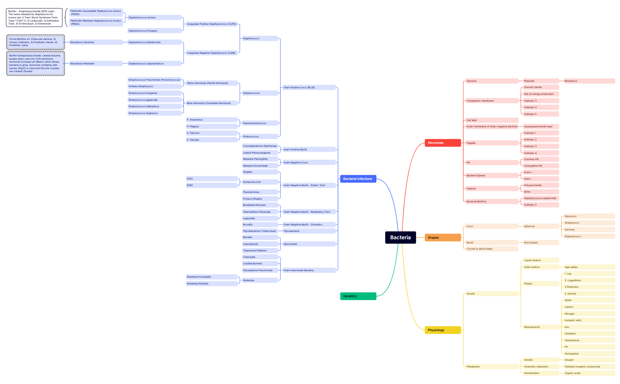 BlankMap 2, - XMind Template