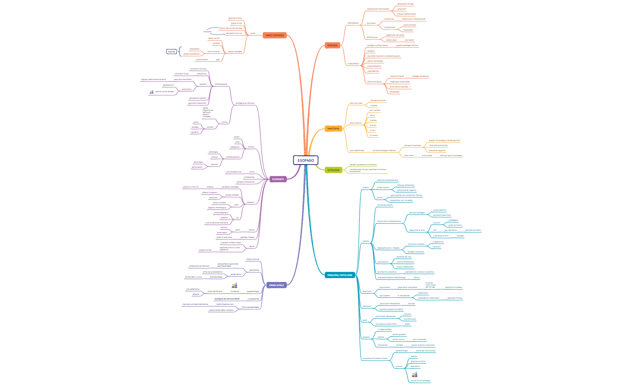 12. APPARATO DIGERENTE preview 1