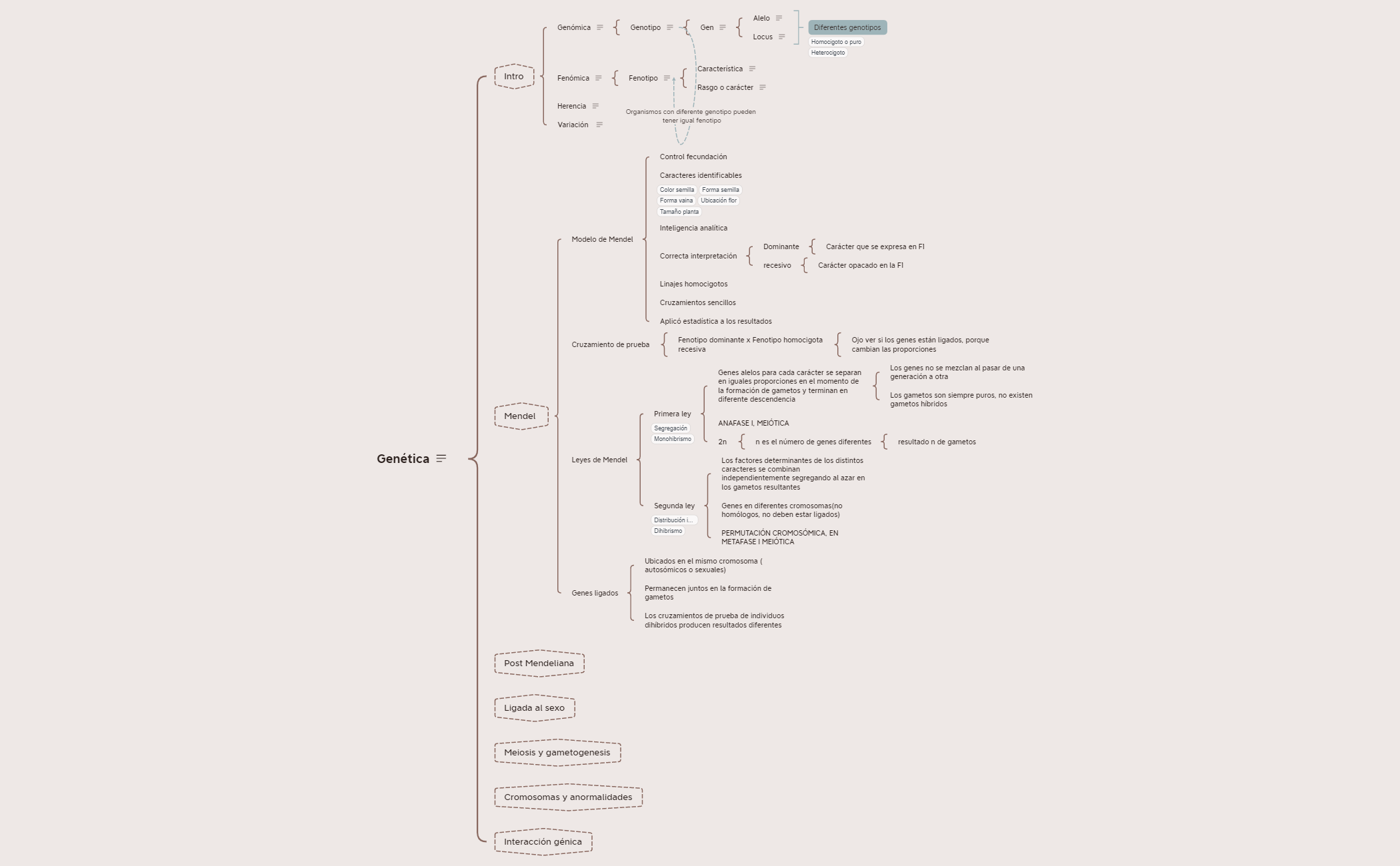 Resumen Genética.xmind preview 1