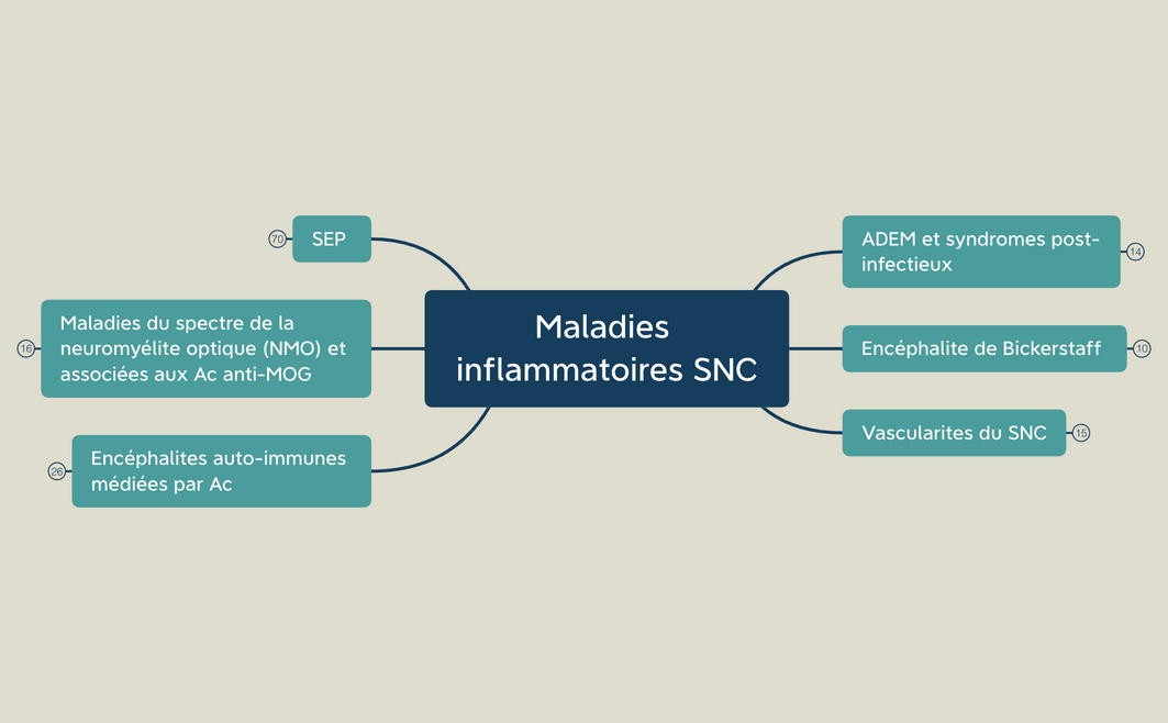 Maladies inflammatoires SNC preview 1