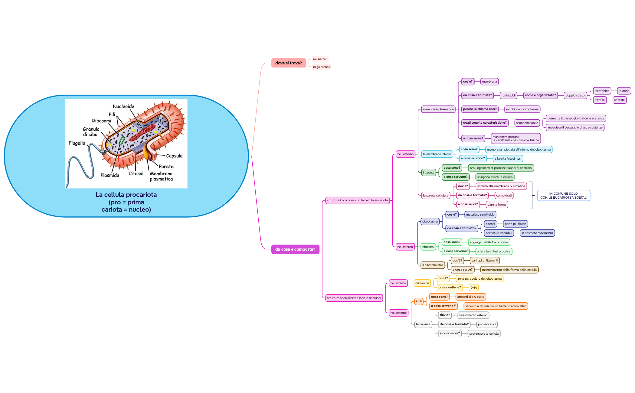 Grafico logico preview 1