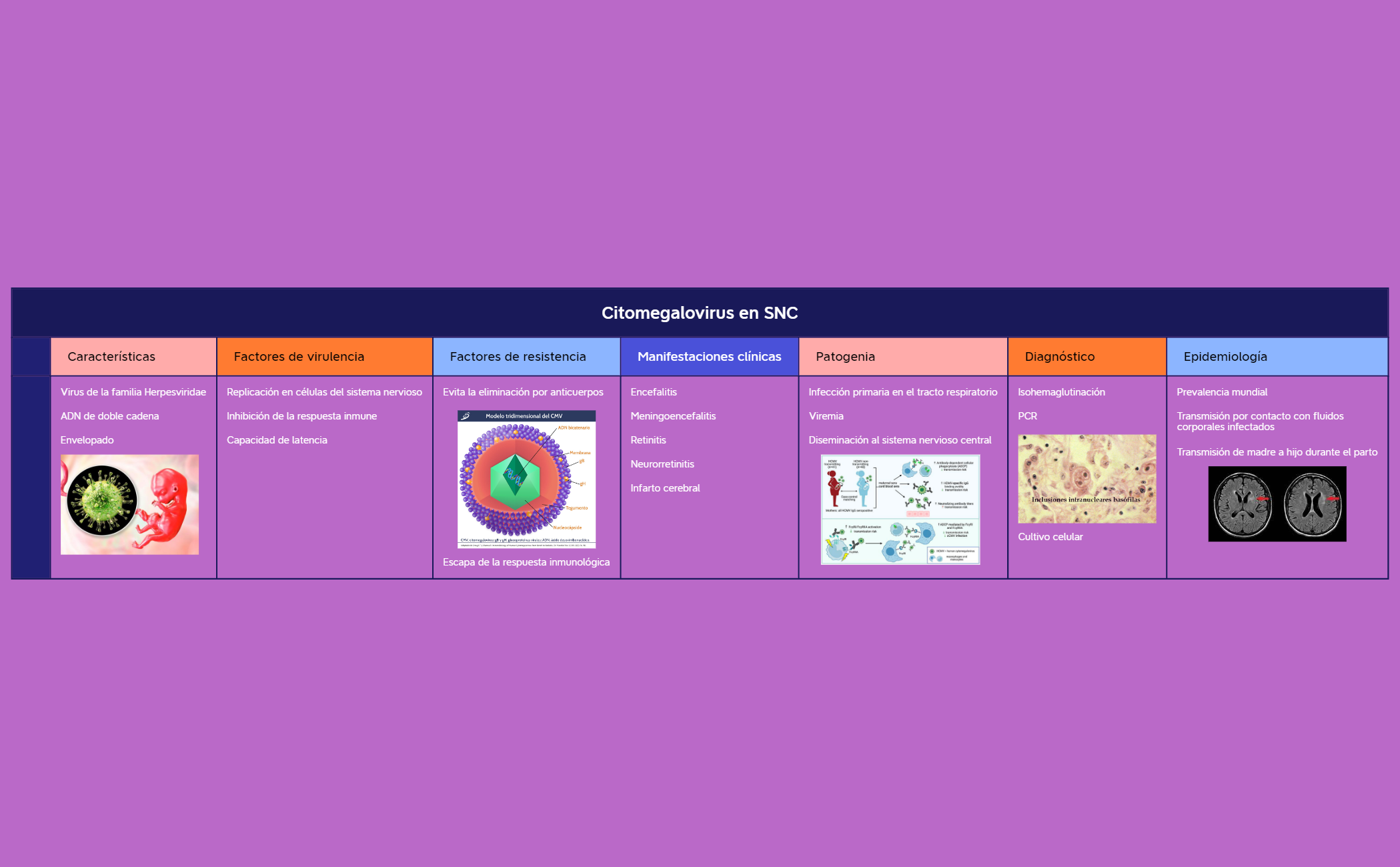 Citomegalovirus en SNC preview 1