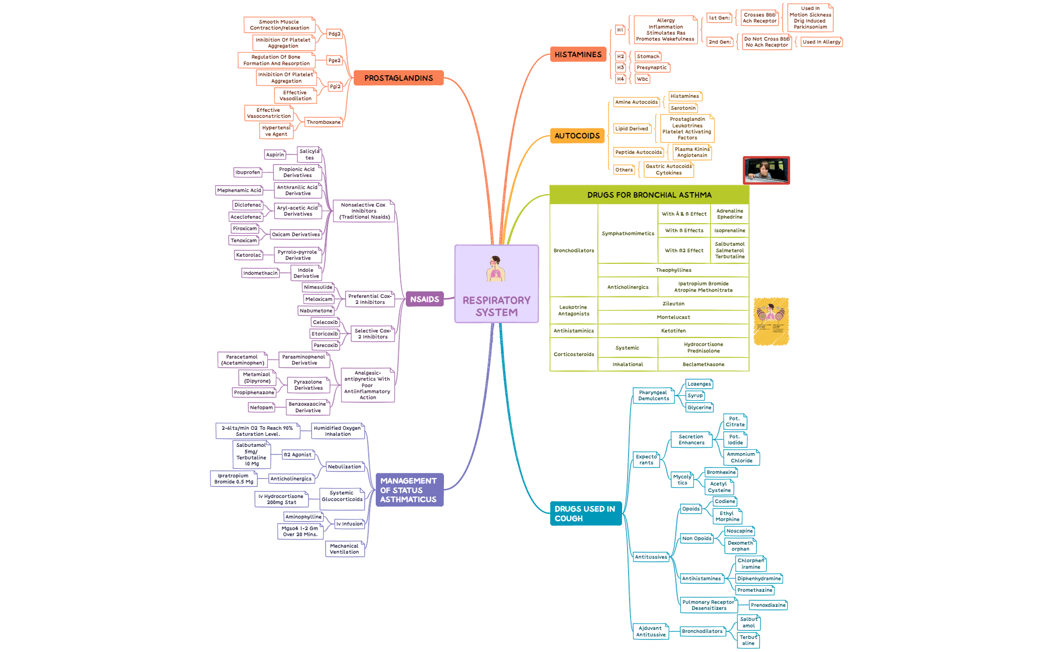 RESPIRATORY SYSTEM  preview 1