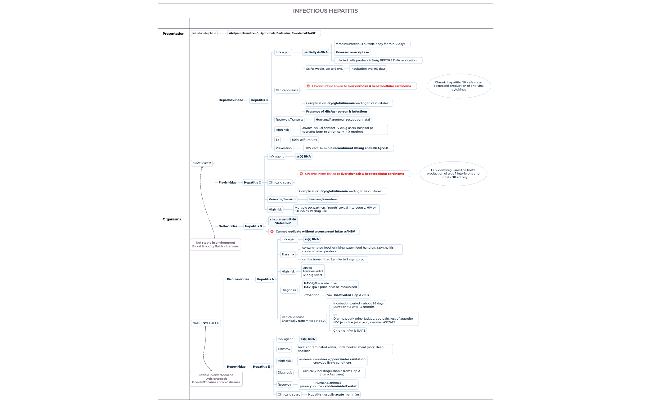 INFECTIOUS HEPATITIS preview 1