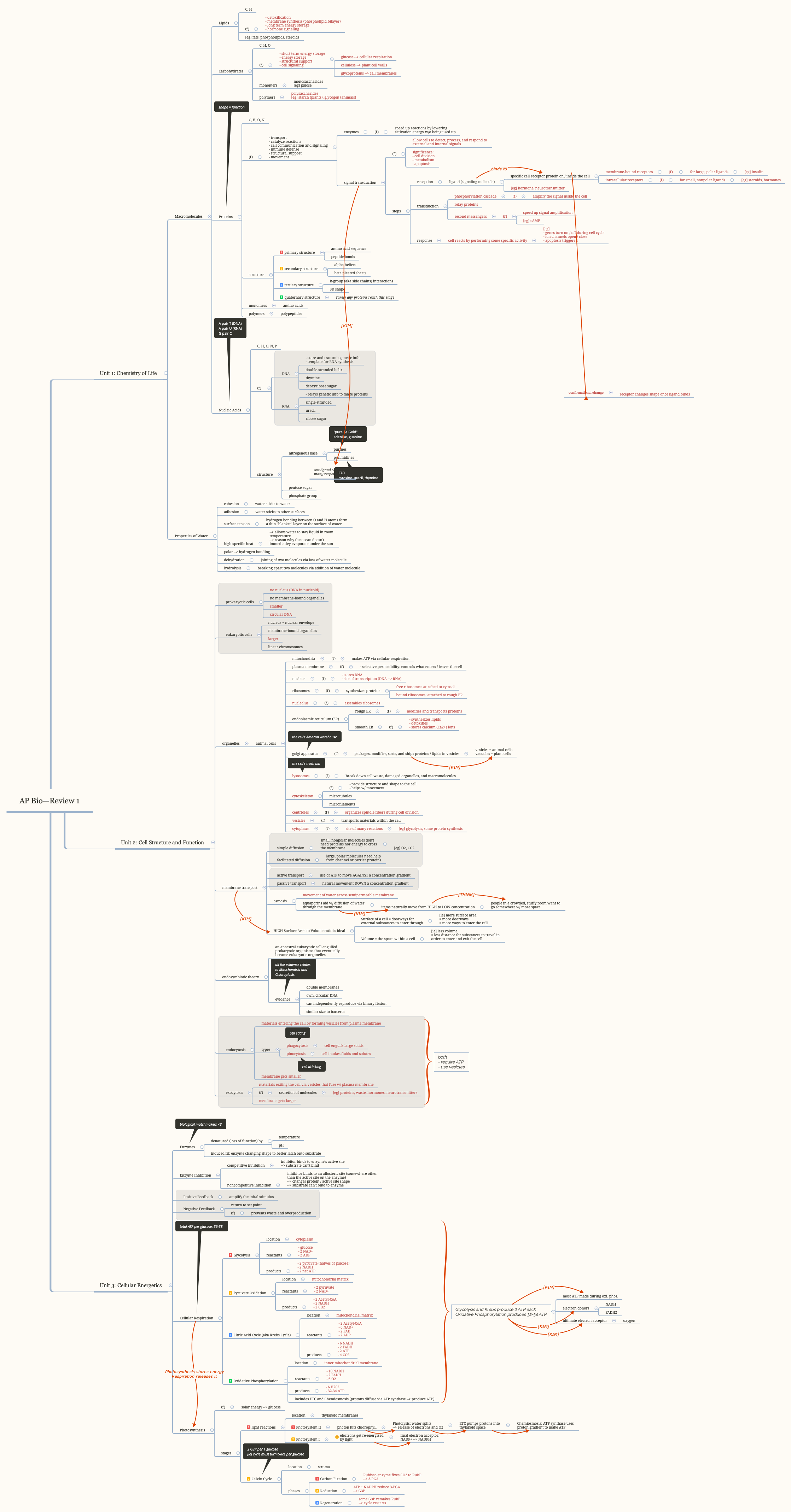 AP Bio—Review 1 preview 1