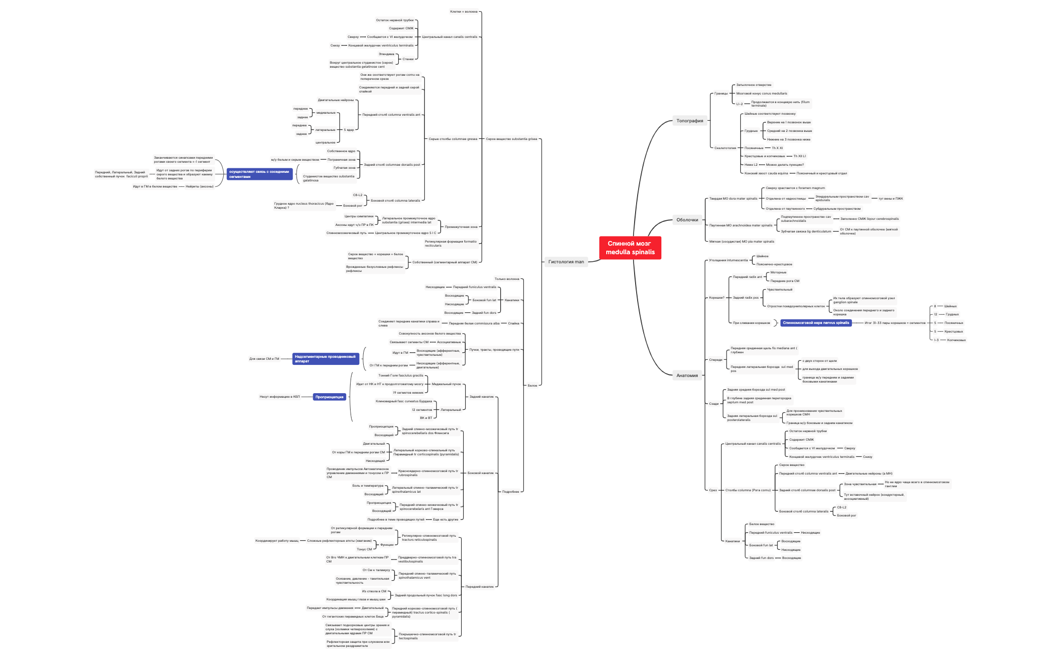 Спинной мозг medulla spinalis preview 1