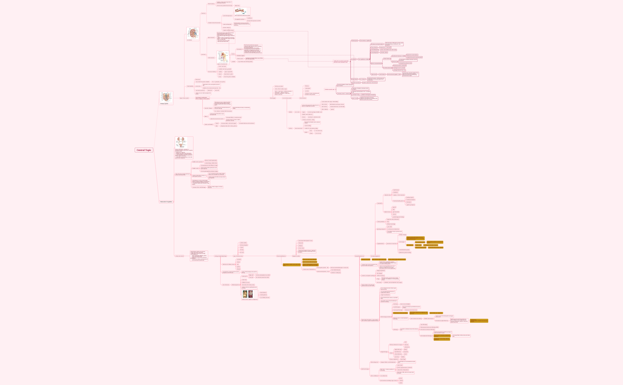 Central Topic preview 1