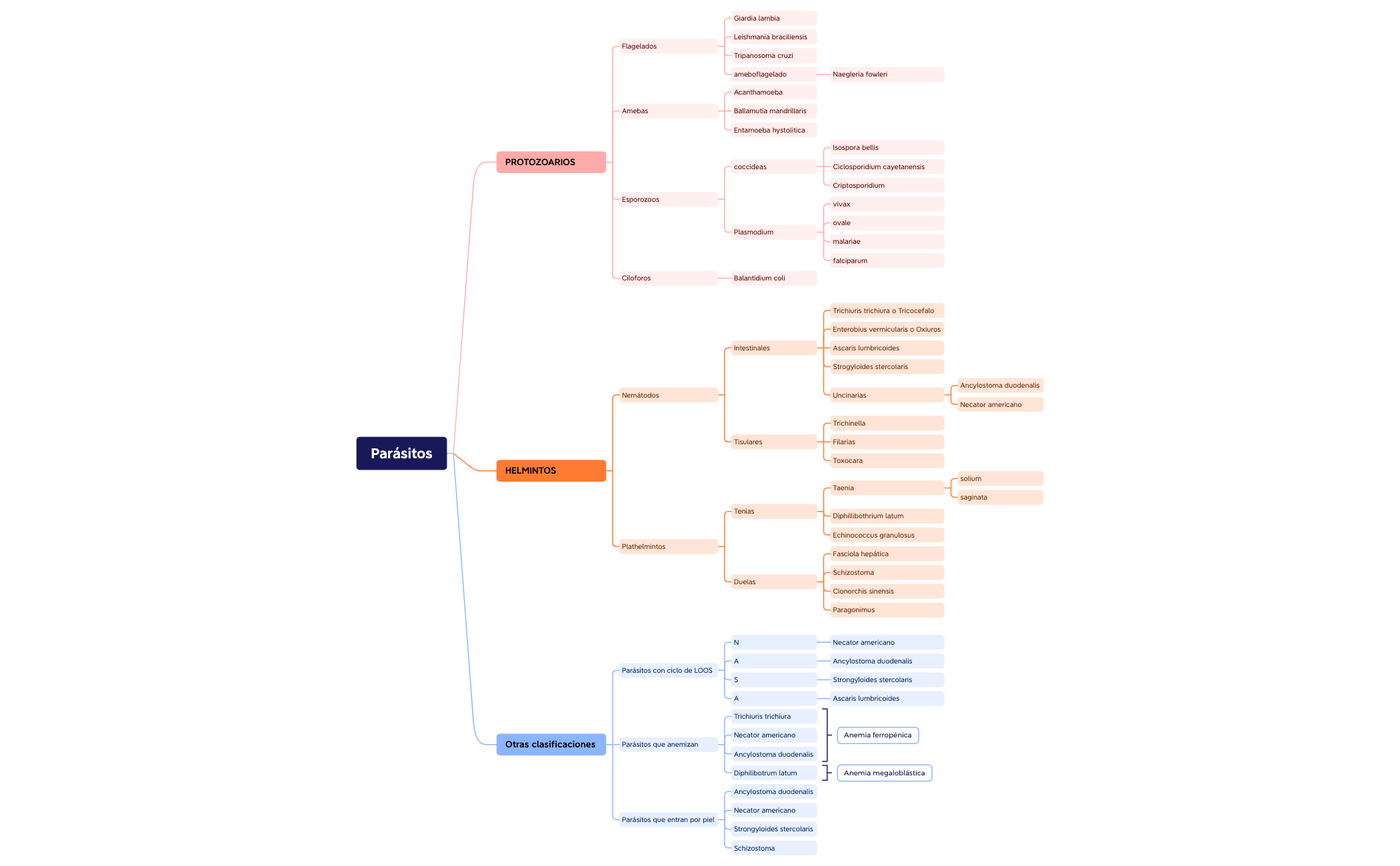 Mapa 1 - XMind Template