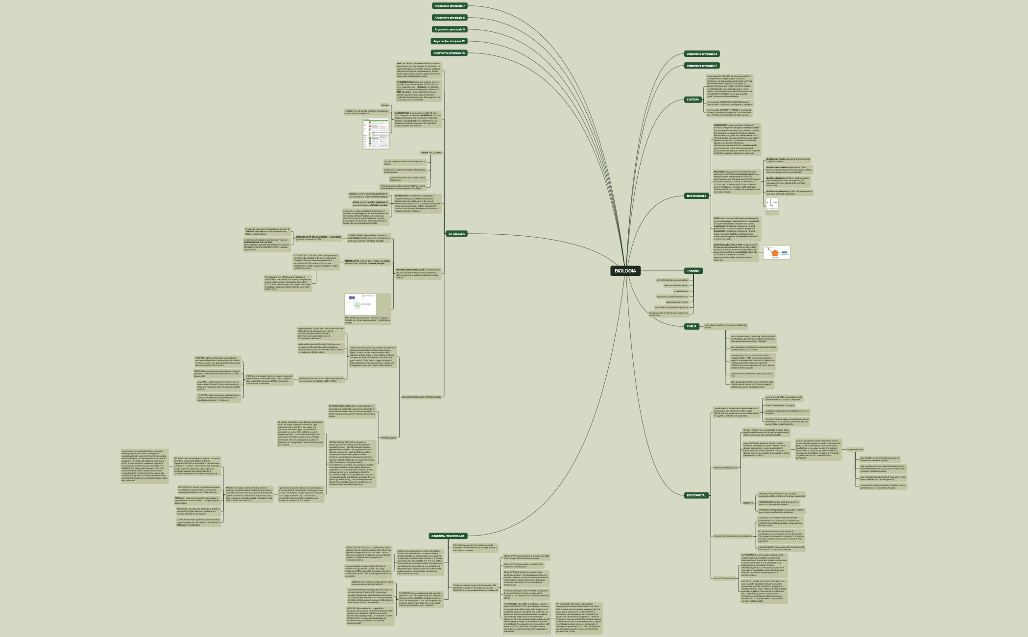 Mappa mentale preview 1