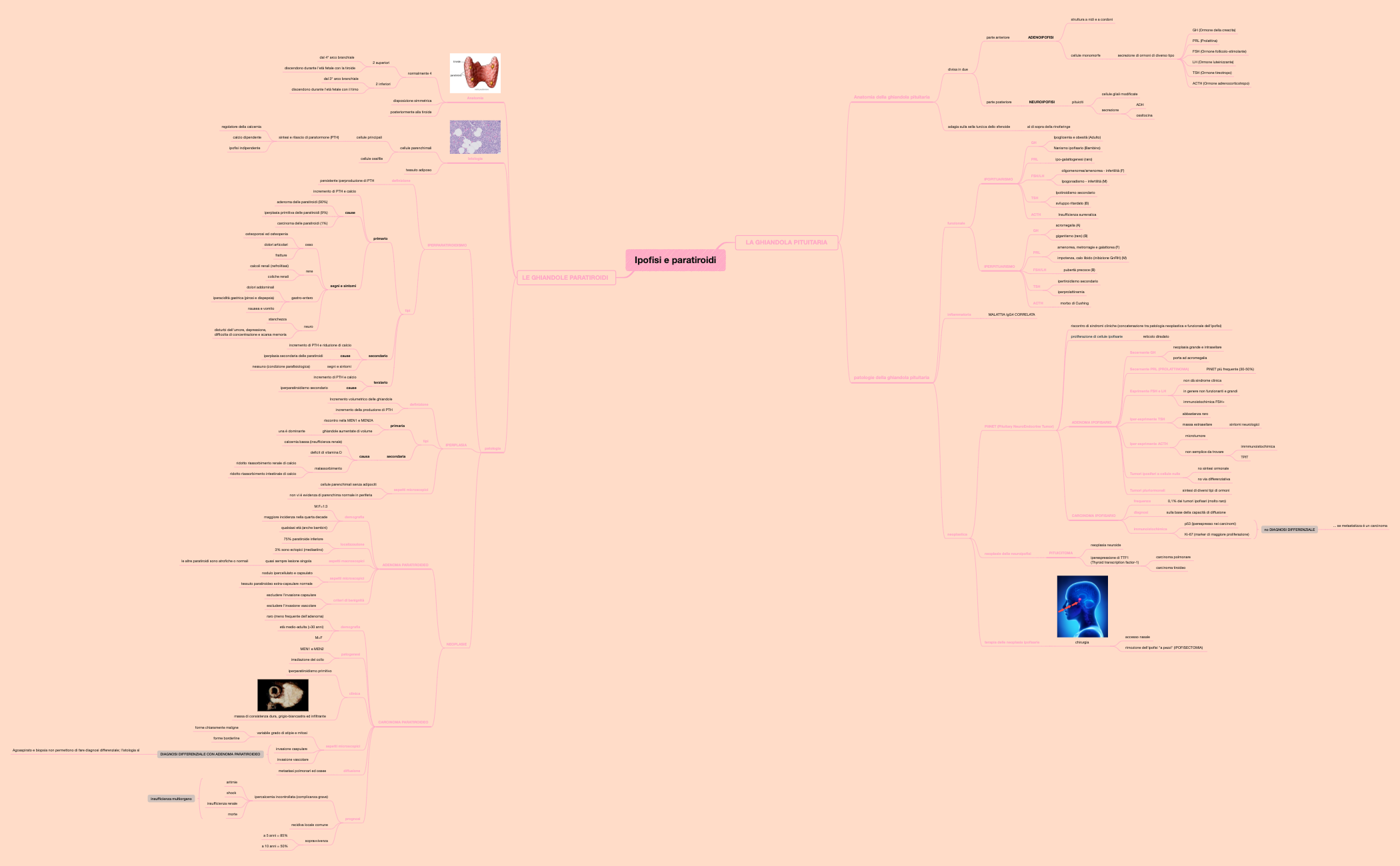 Mappa 1 preview 1