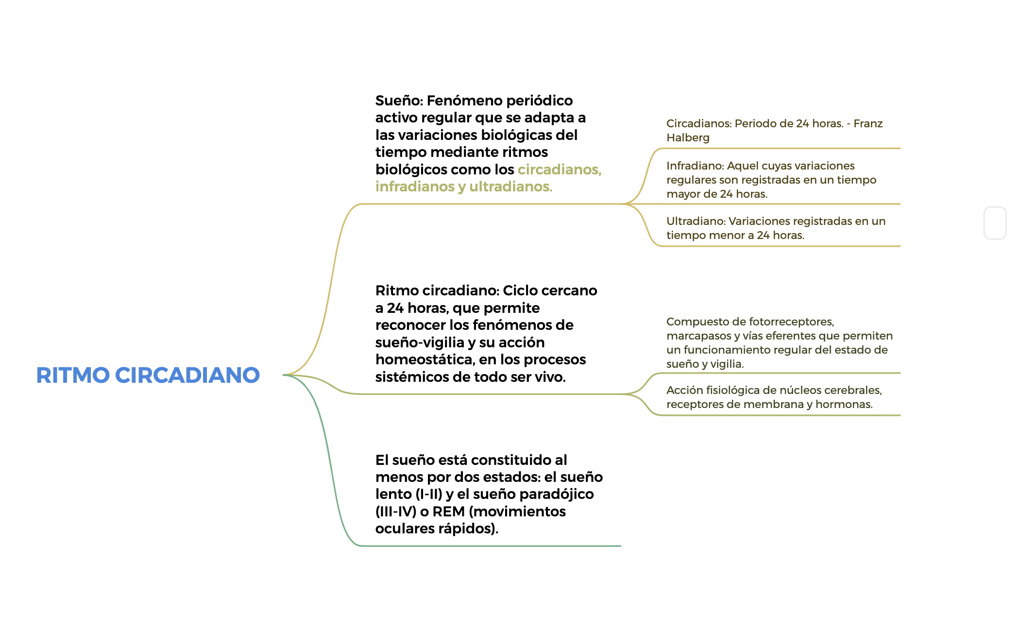 RITMO CIRCADIANO preview 1