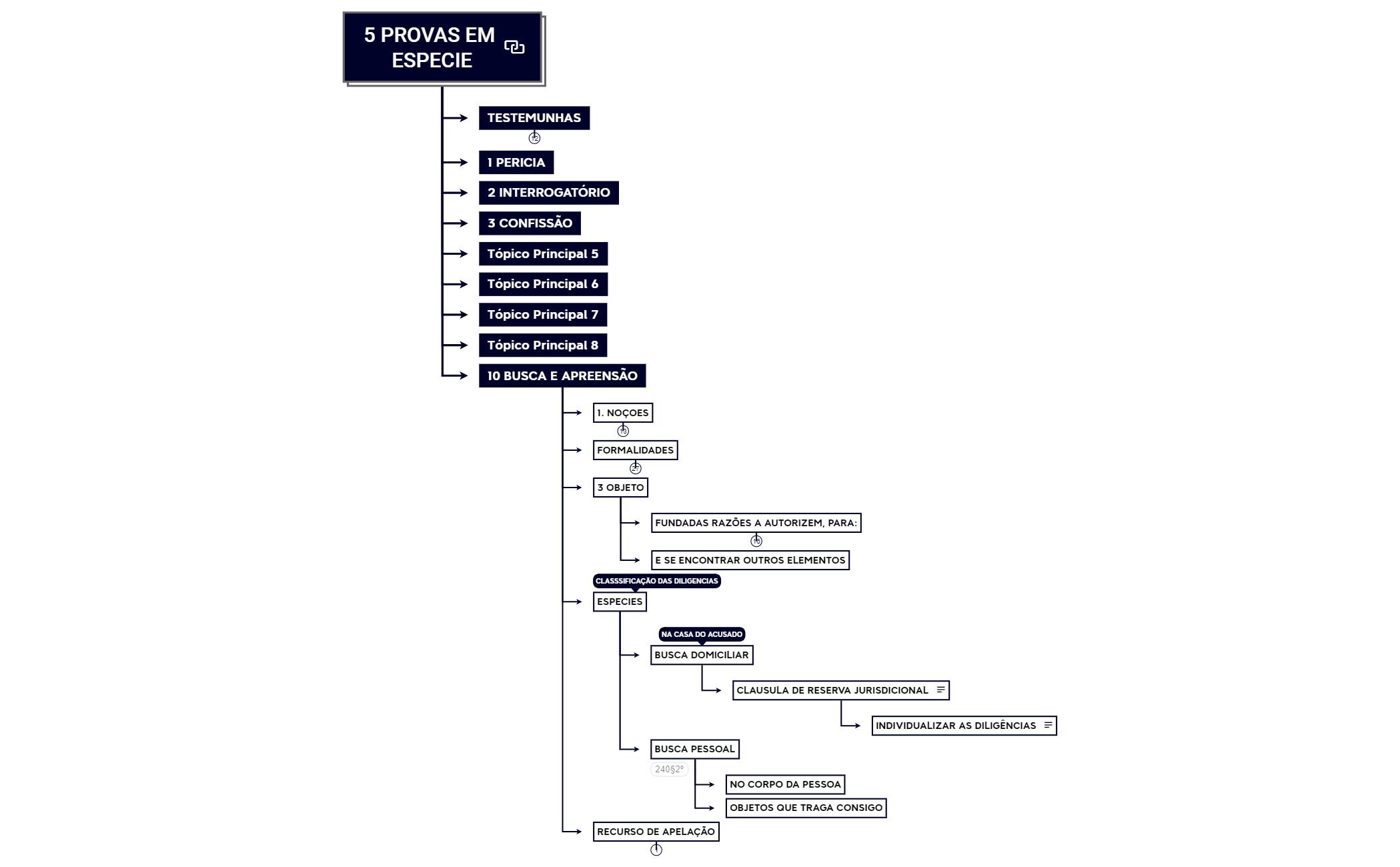 PROCESSO PENAL preview 1