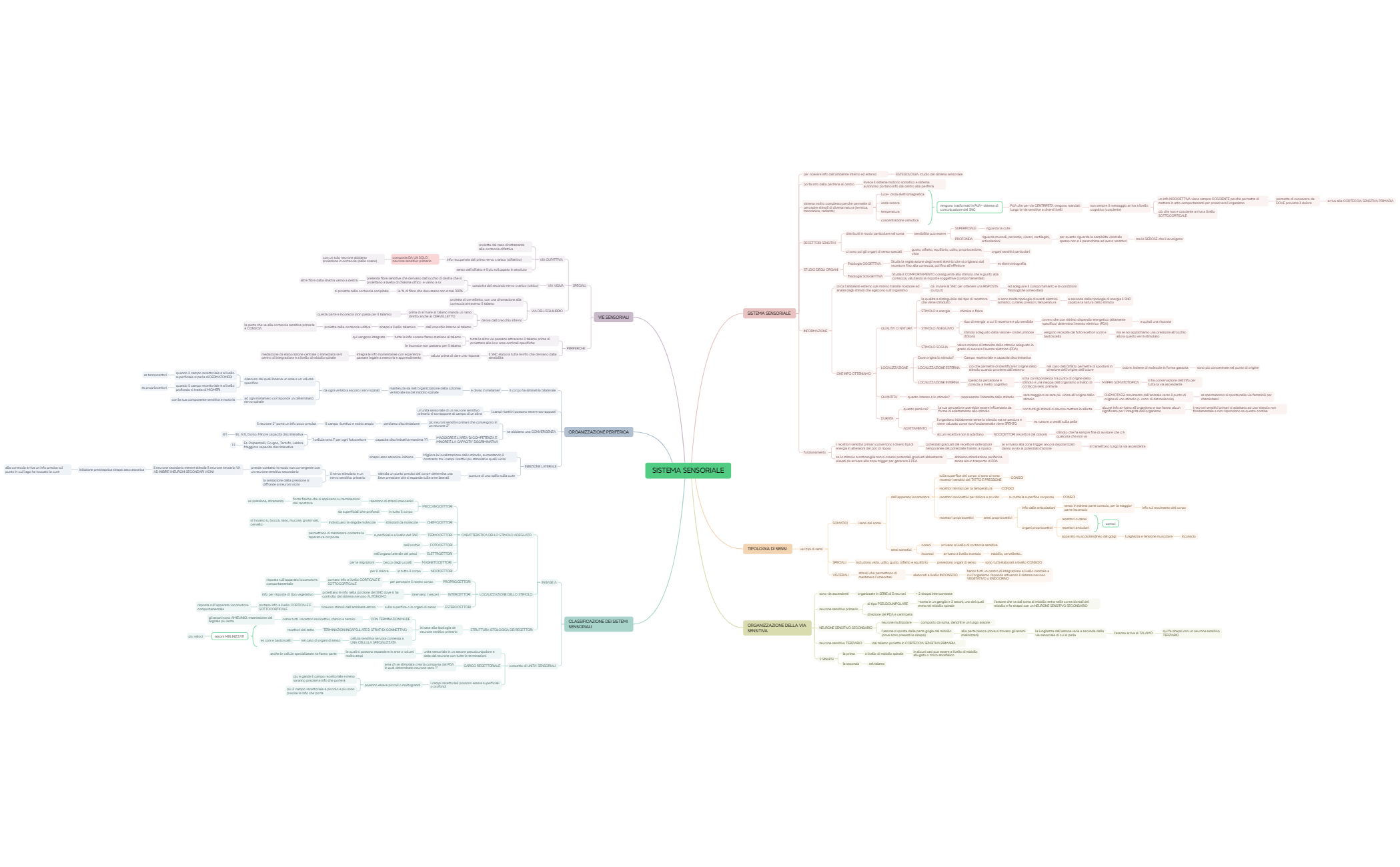 SISTEMA SENSORIALE preview 1