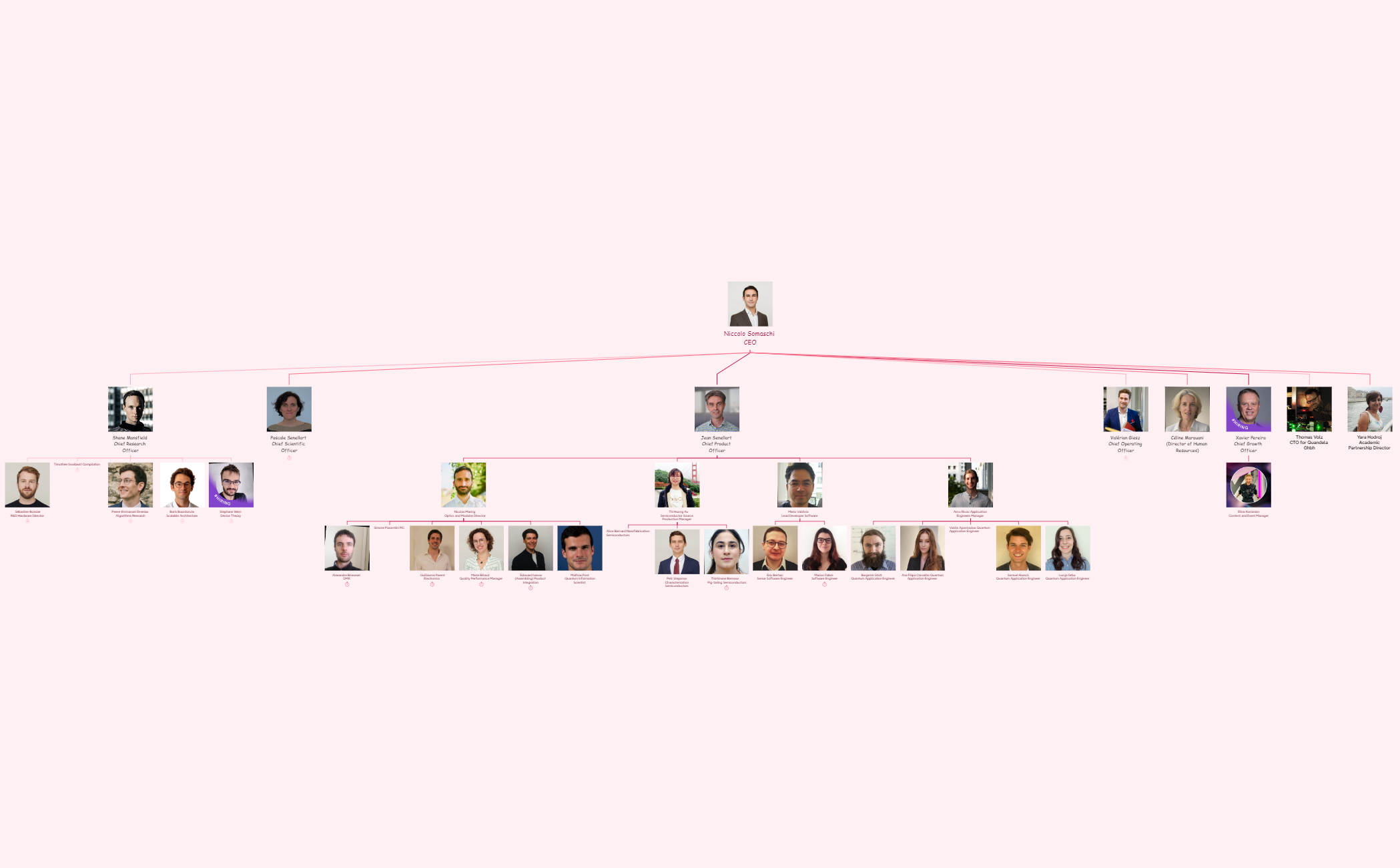 Org Chart - XMind Template