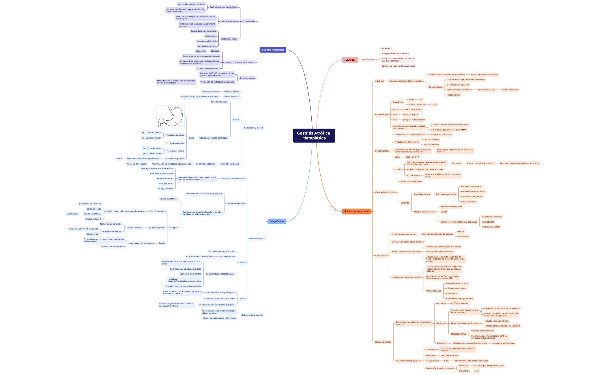 Gastritis Atrófica Metaplásica preview 1