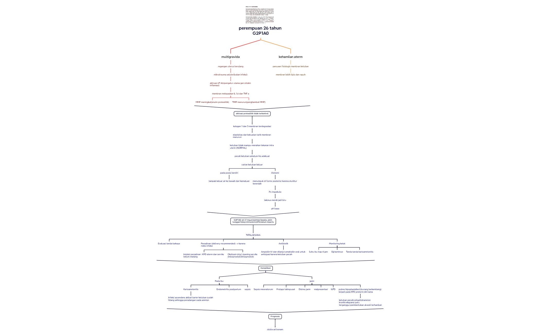 perempuan 26 tahun G2P1A0 preview 1