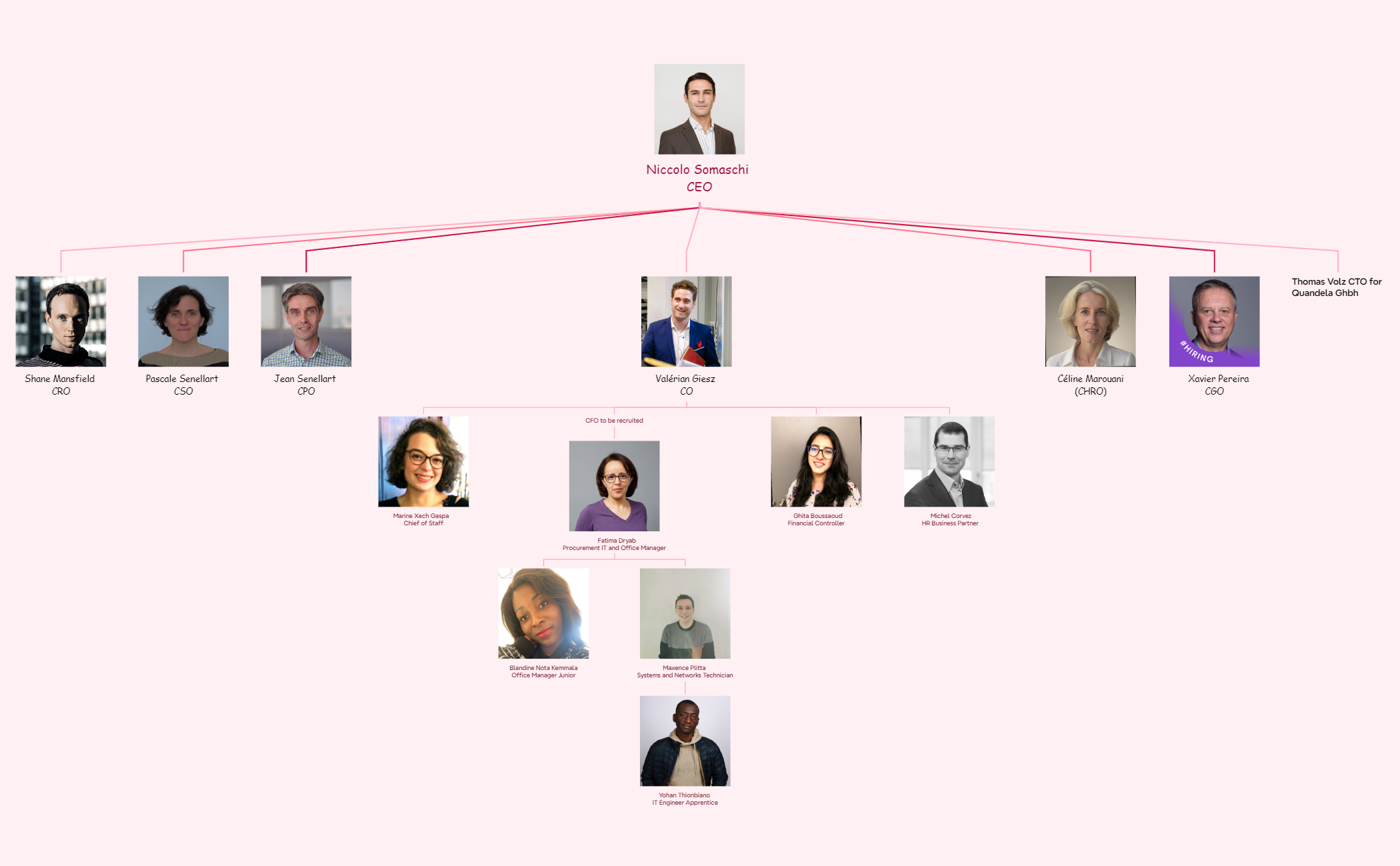 Org Chart preview 1