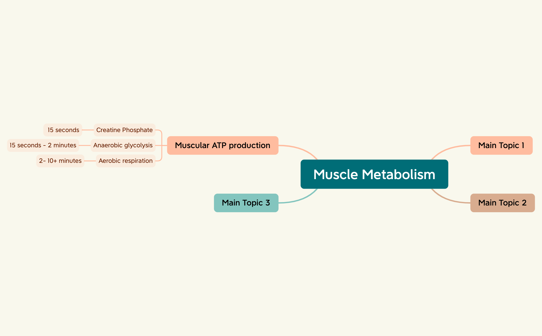 Muscle Metabolism preview 1