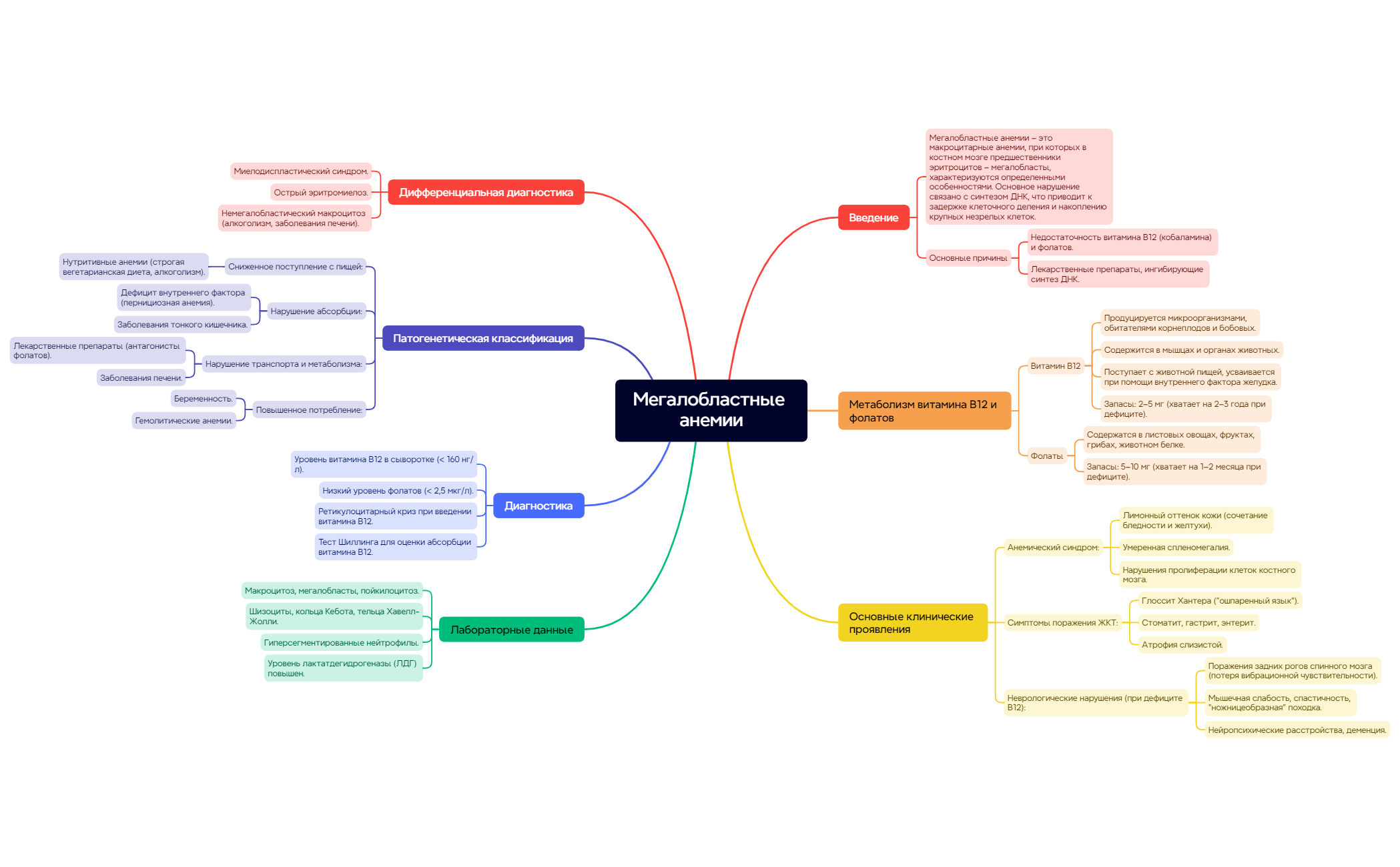 Мегалобластные анемии preview 1