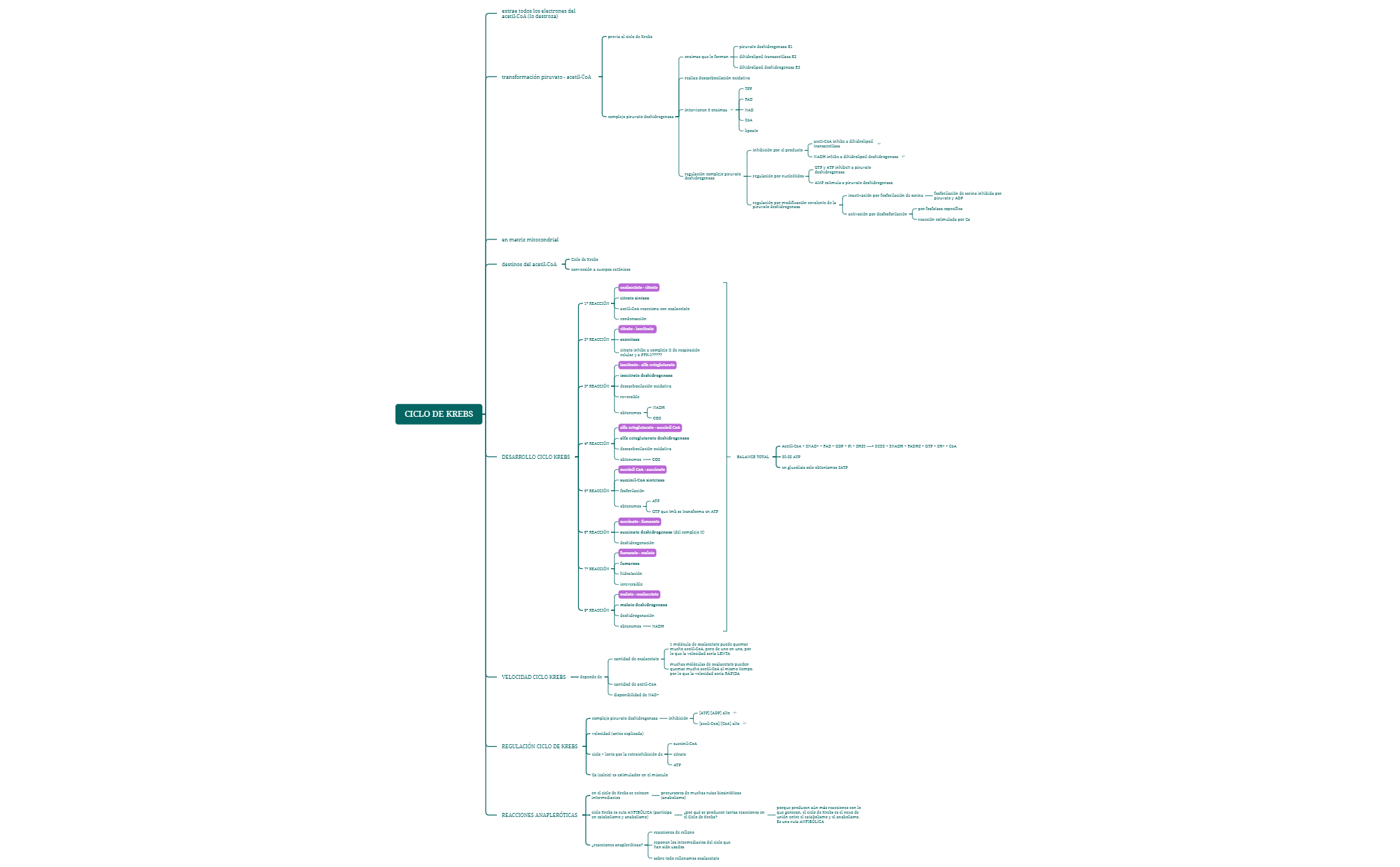 Mapa 1 - XMind Template