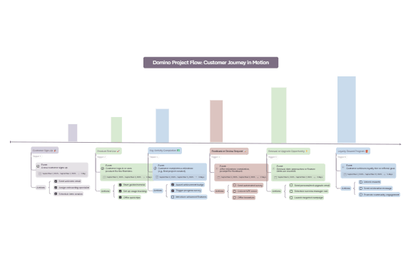 Domino Project Flow: Customer Journey in Motion preview 1