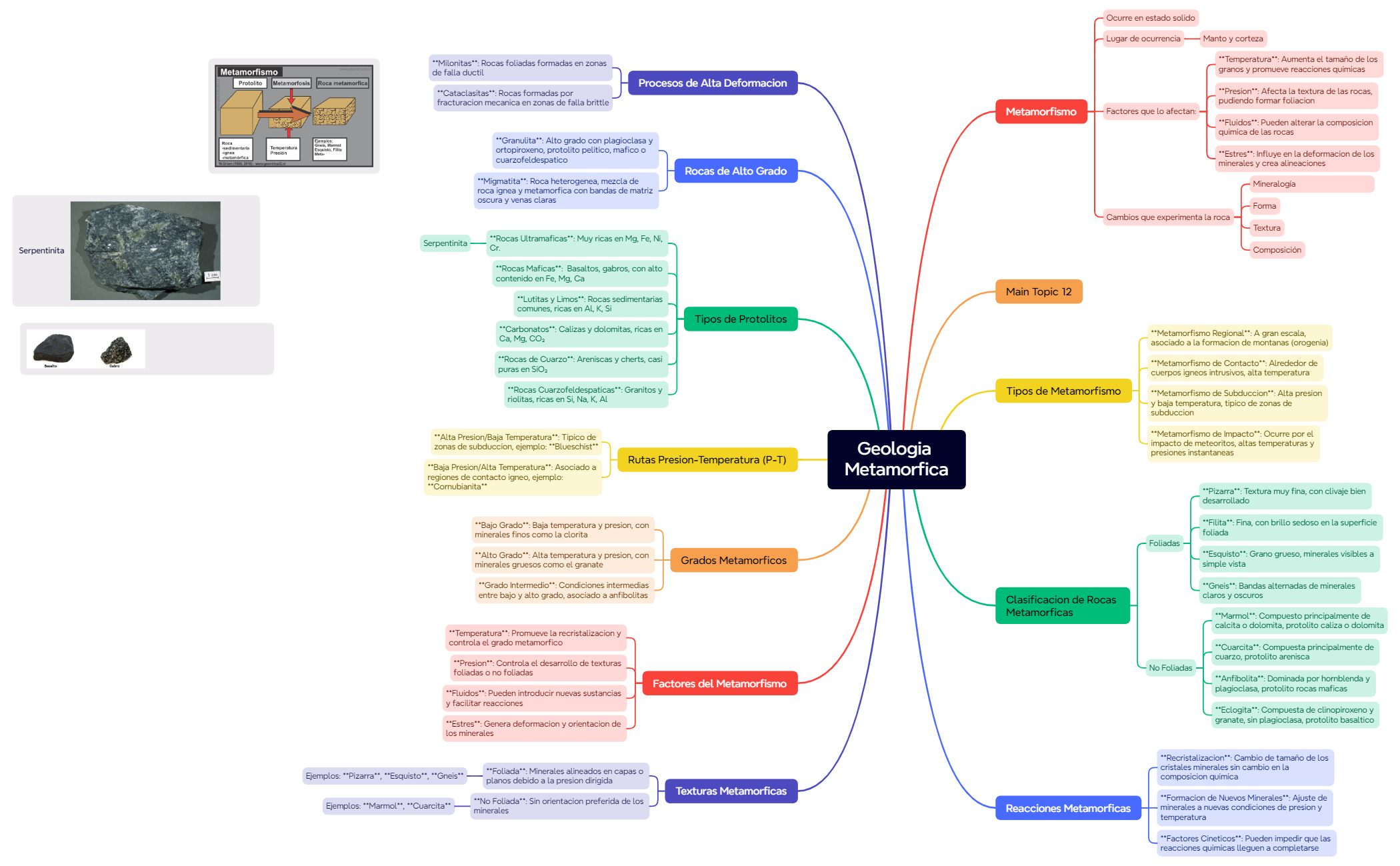 Map - XMind Template