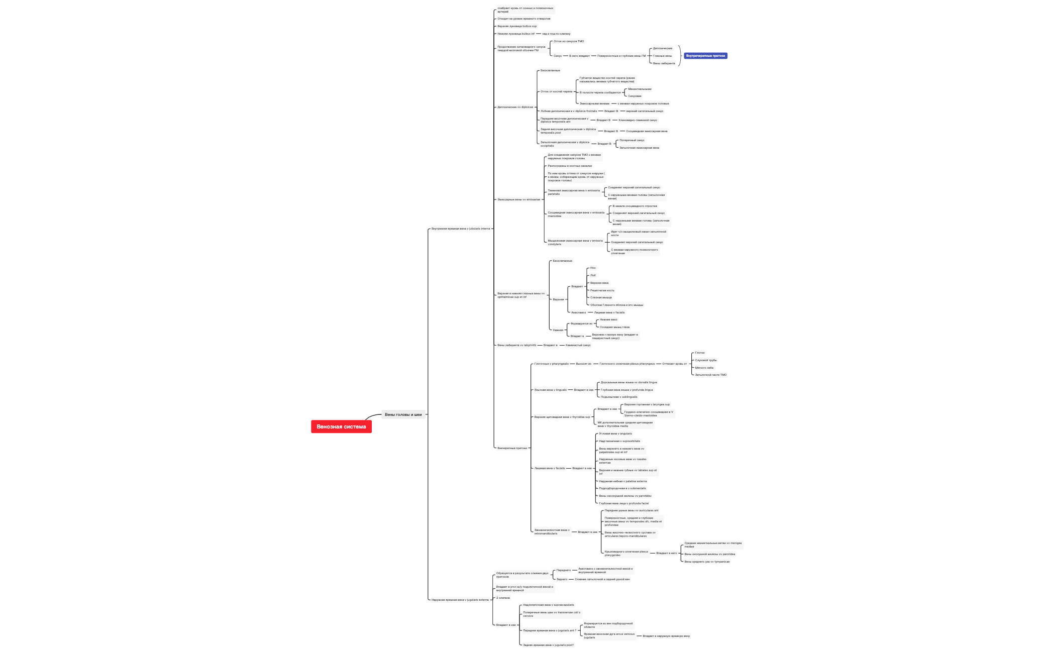 Вены головы и шеи preview 1