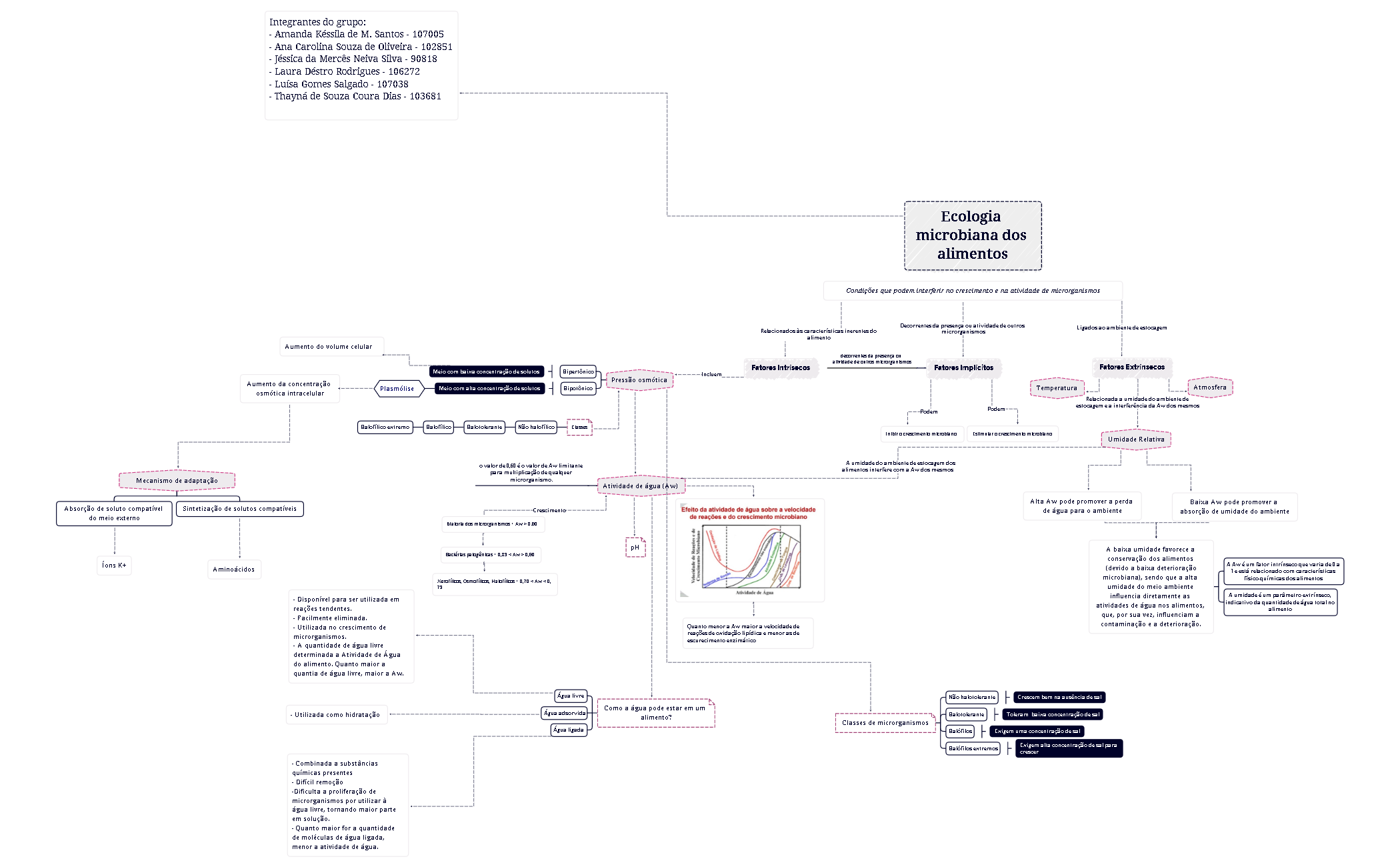Ecologia microbiana dos alimentos - XMind Template