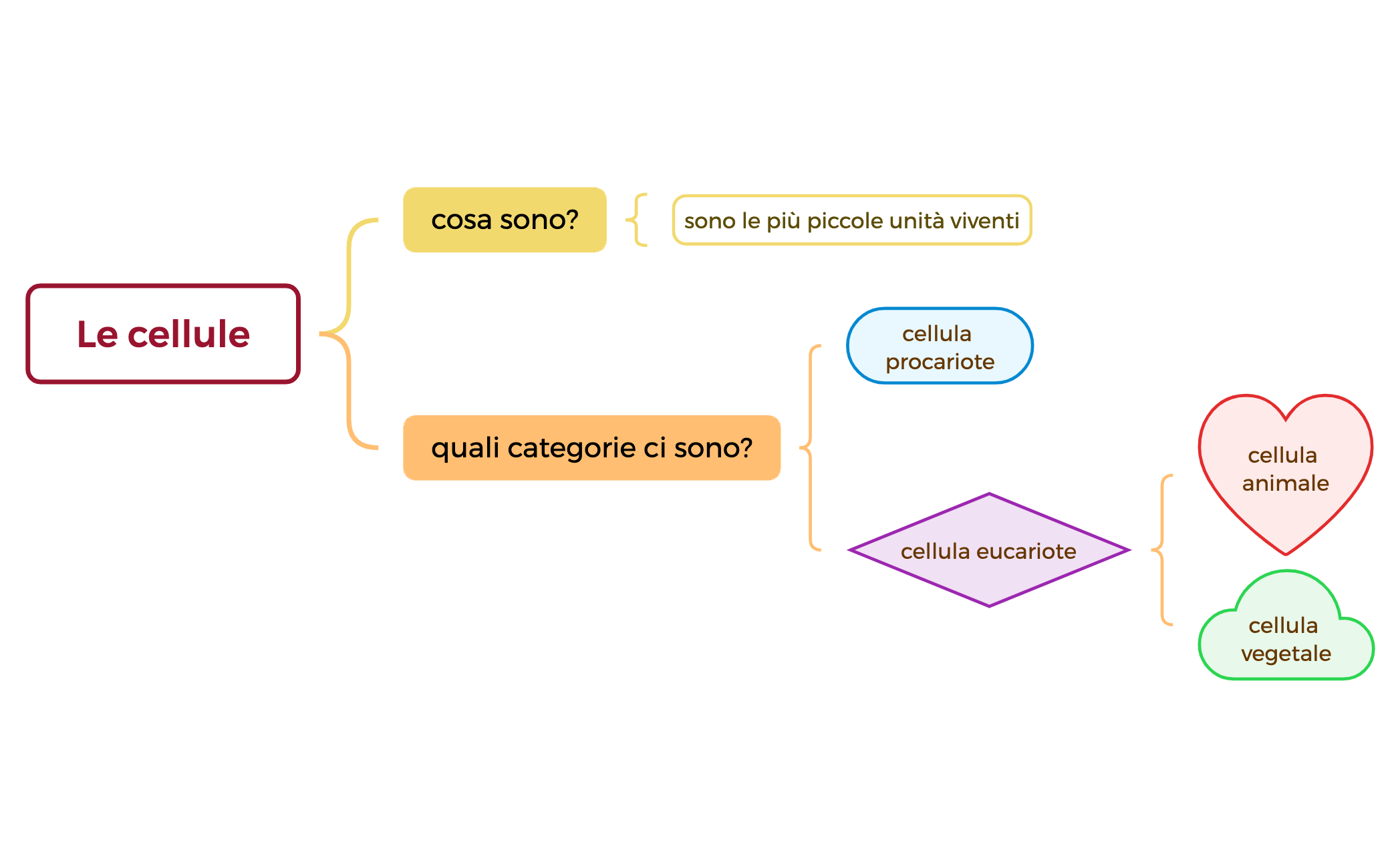 Le cellule preview 1