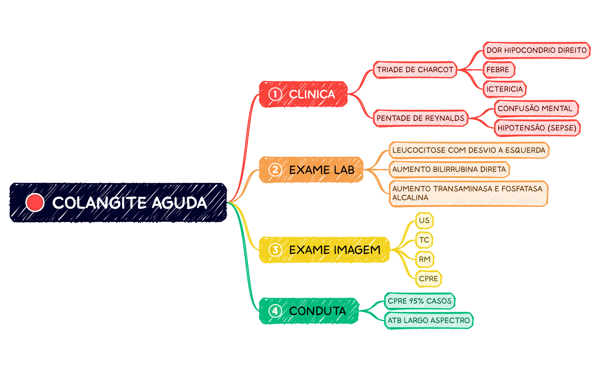 COLANGITE AGUDA  preview 1