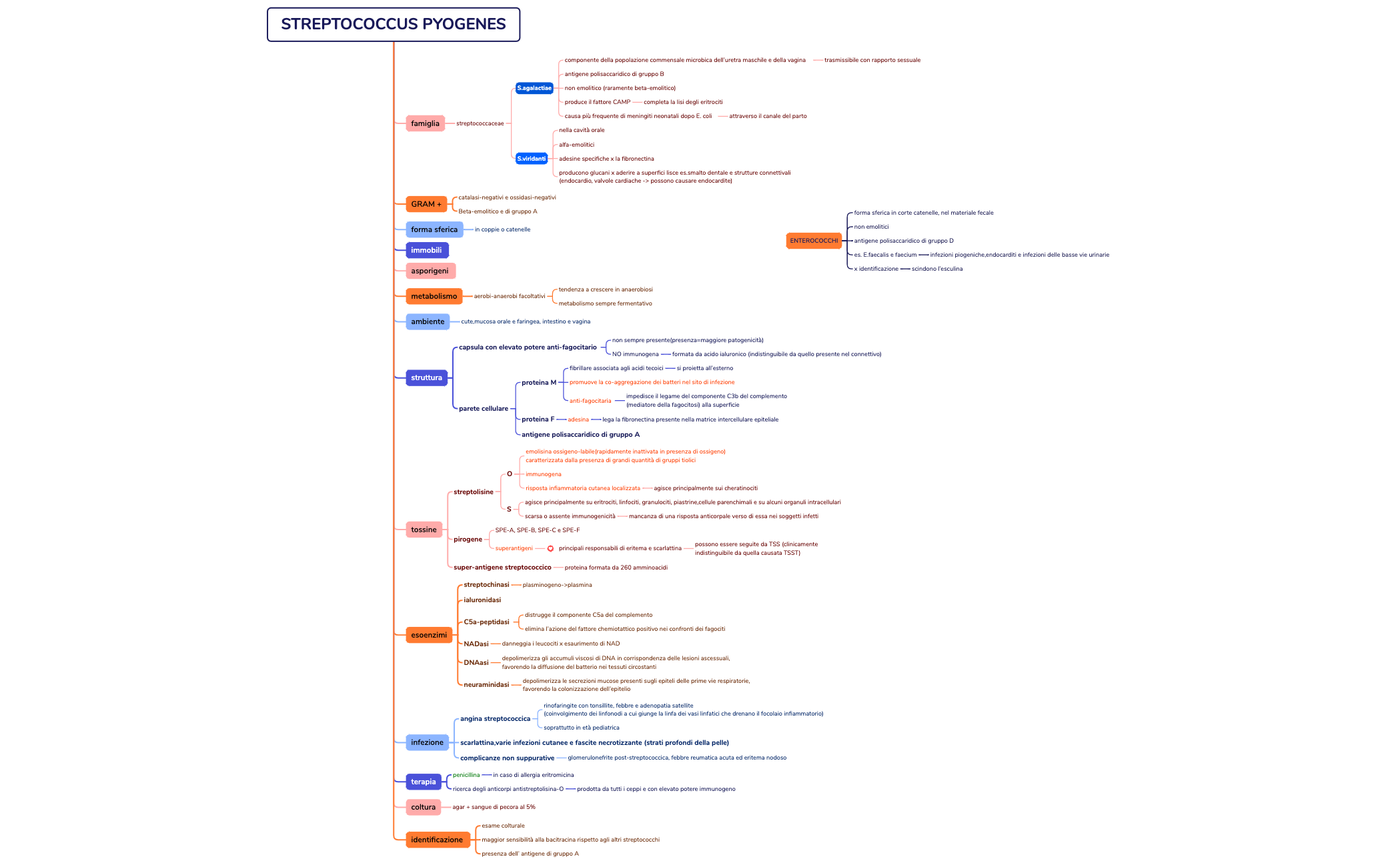 STRAPHYLOCOCCUS AUREUS preview 1