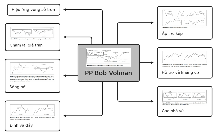 PP Bob Volman.xmind - XMind Template