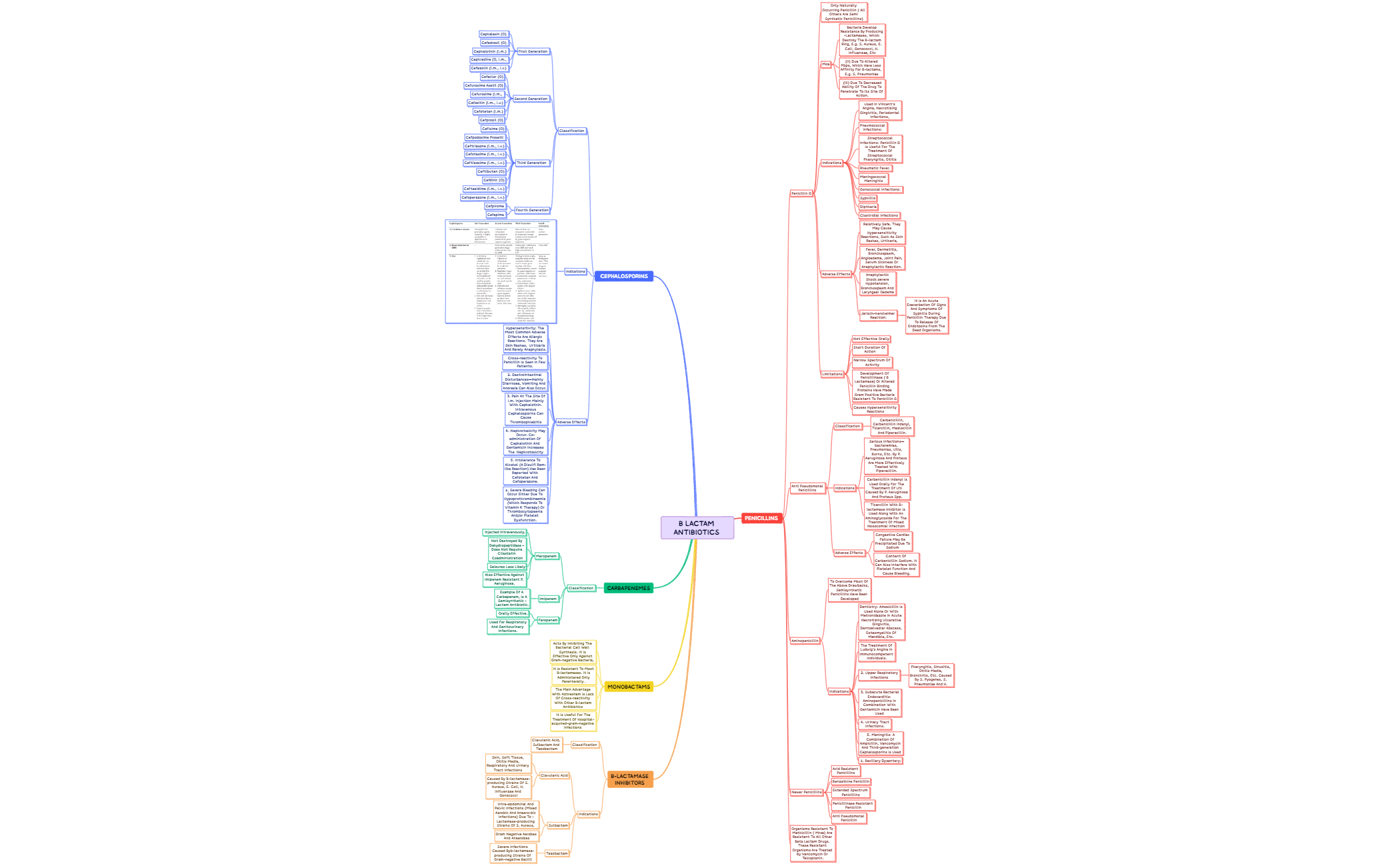 B LACTAM ANTIBIOTICS  preview 1