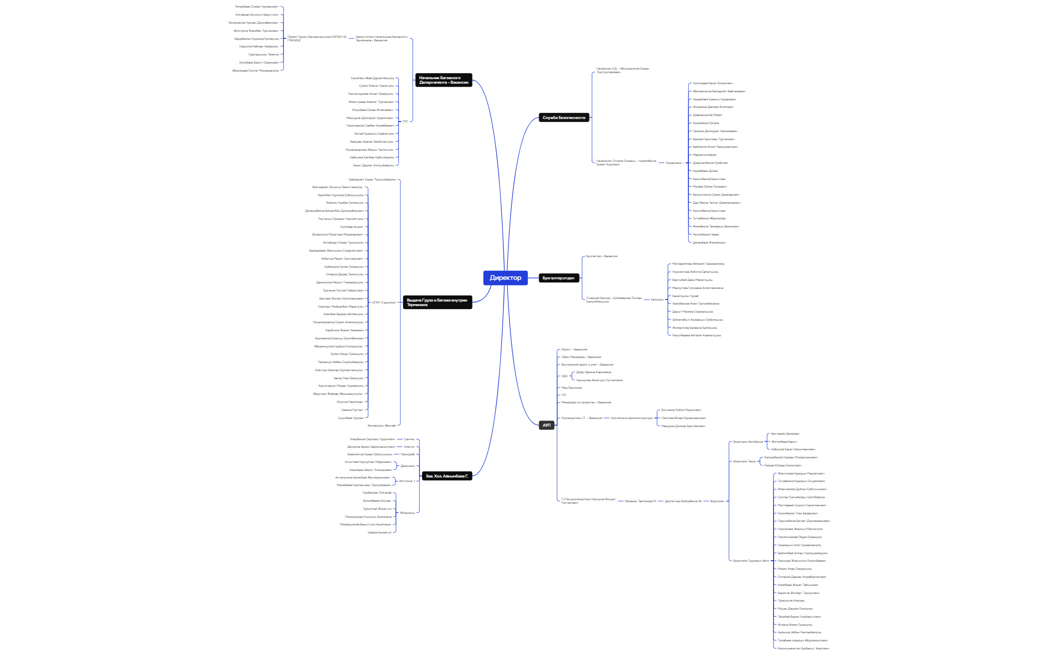 Org Chart - XMind Template