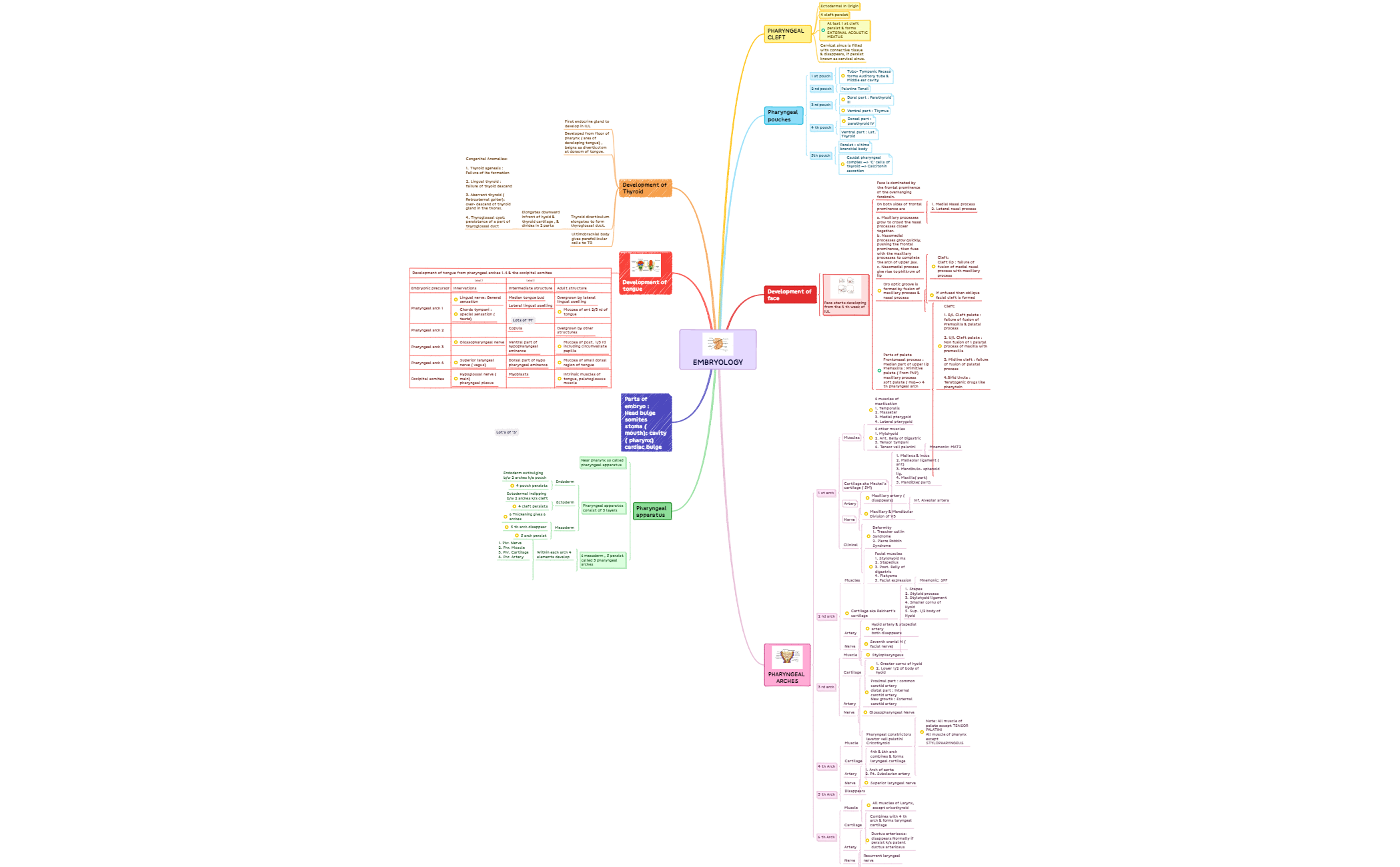 Embryology preview 1