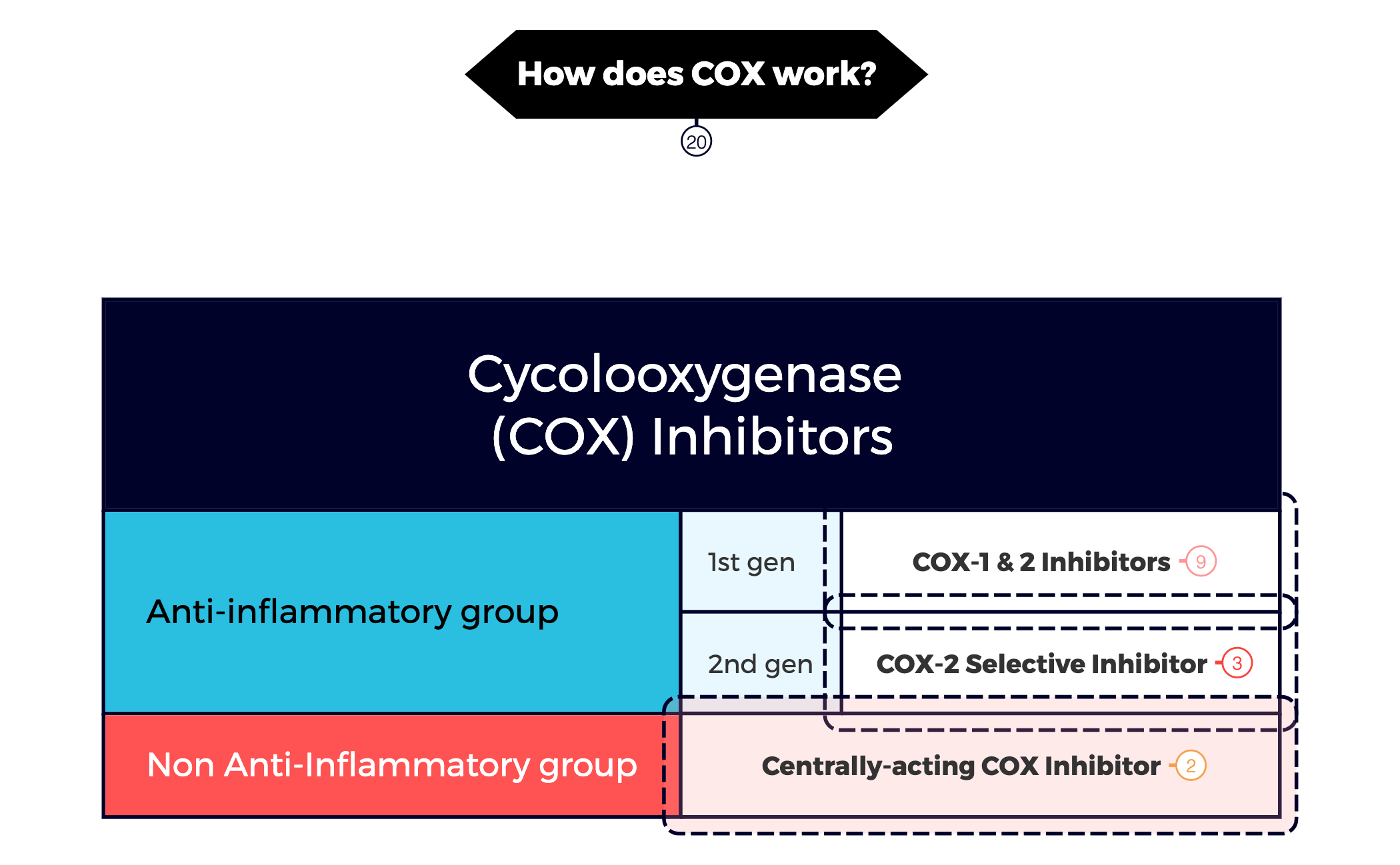 Cycolooxygenase (COX) Inhibitors preview 1