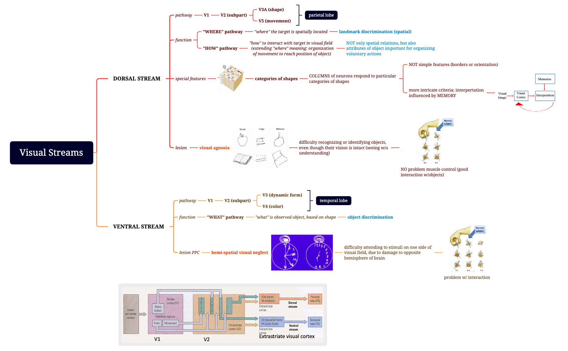 Visual Streams - XMind Template