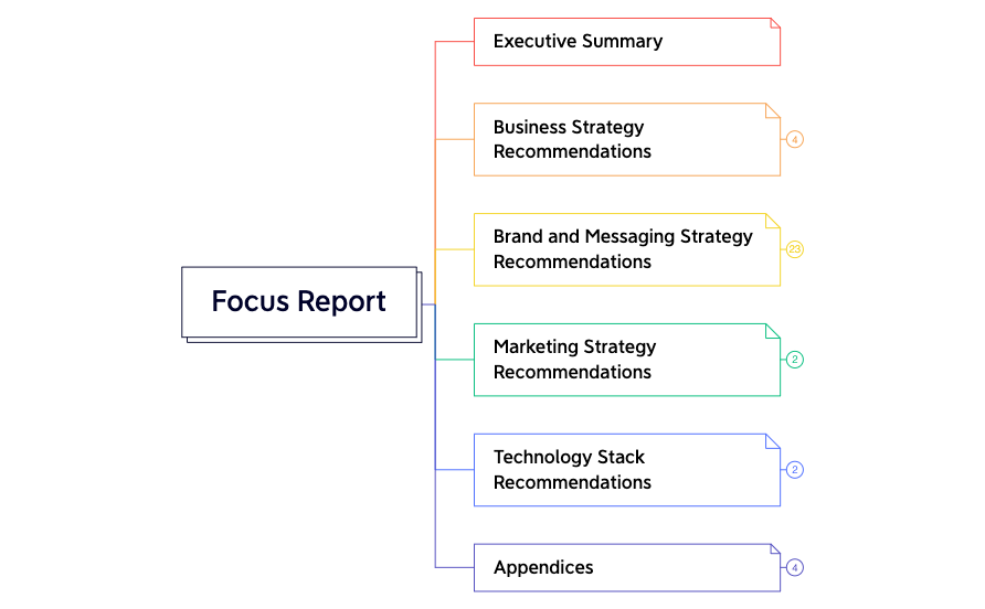 Focus Report - XMind Template