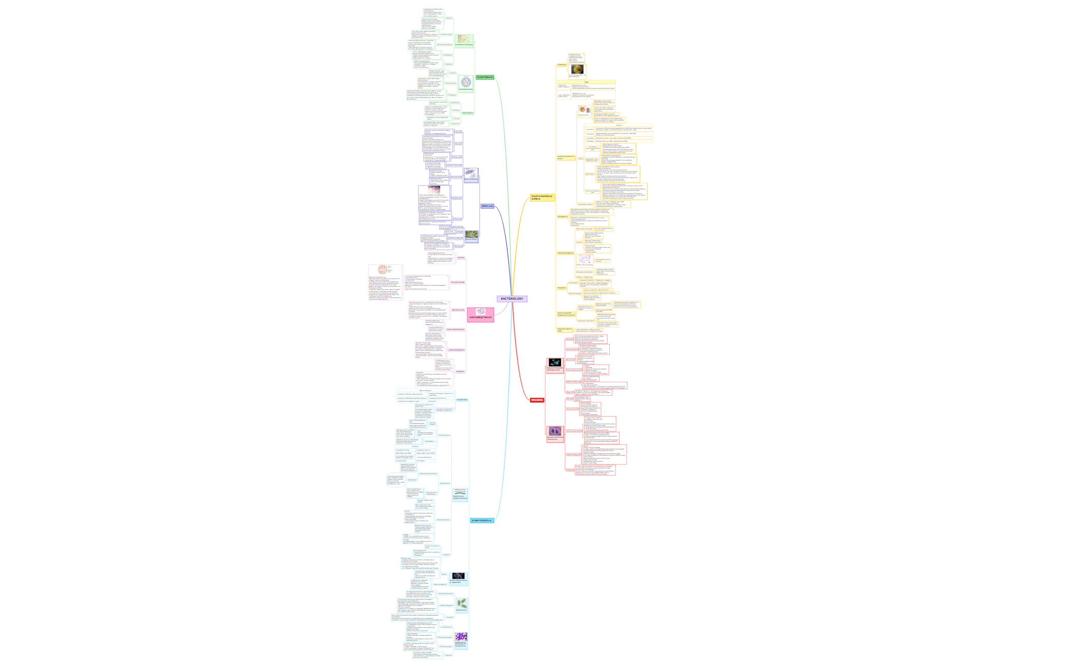 Bacteriology 1.xmind preview 1