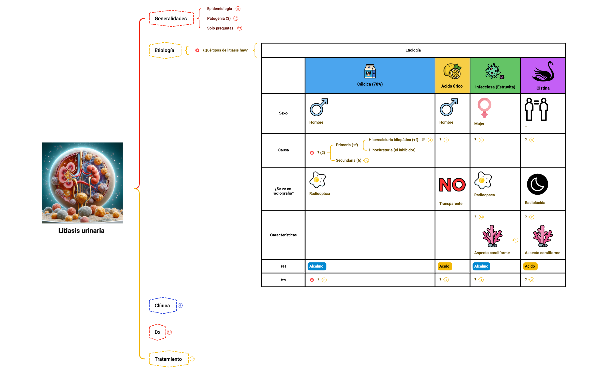 Urología preview 1