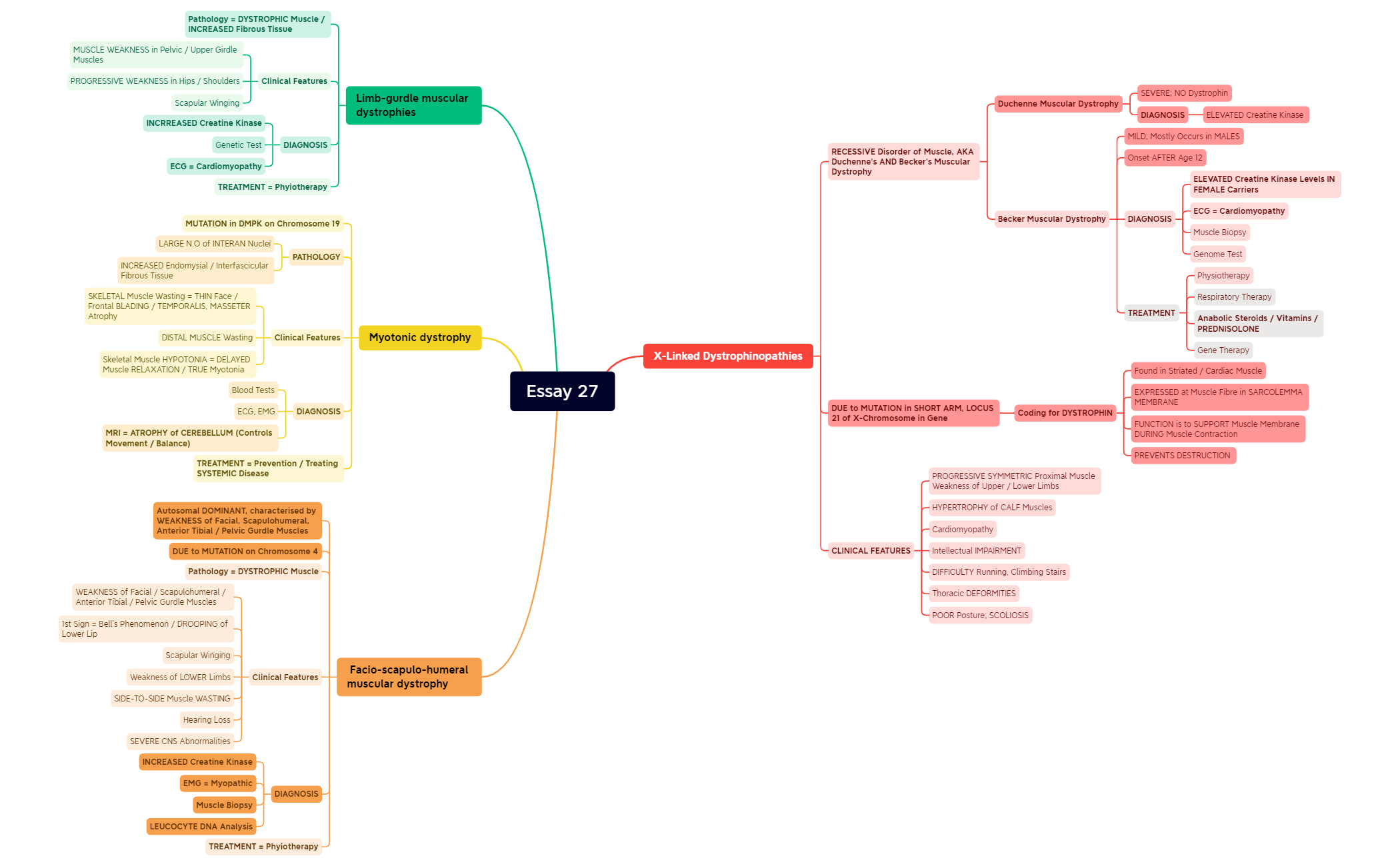 Essay 27.xmind preview 1