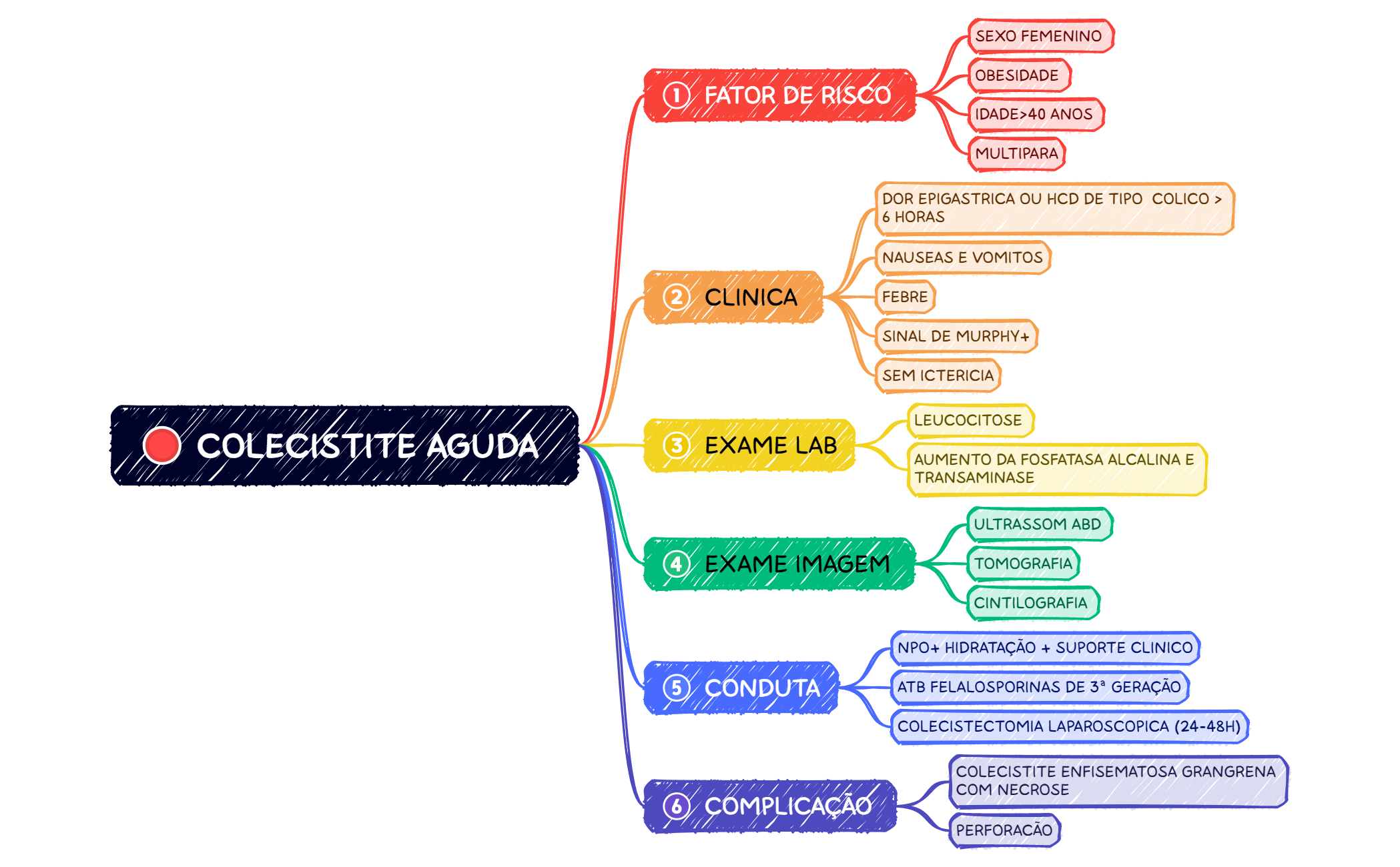 COLECISTITE AGUDA preview 1