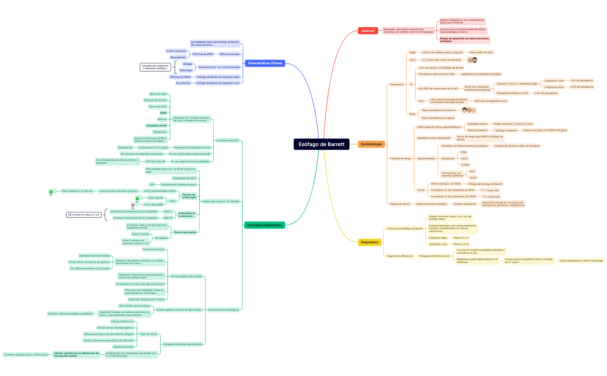 Esófago de Barrett preview 1