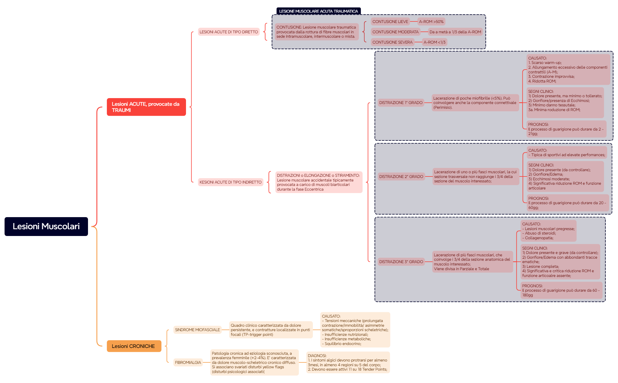 Lesioni Muscolari preview 1