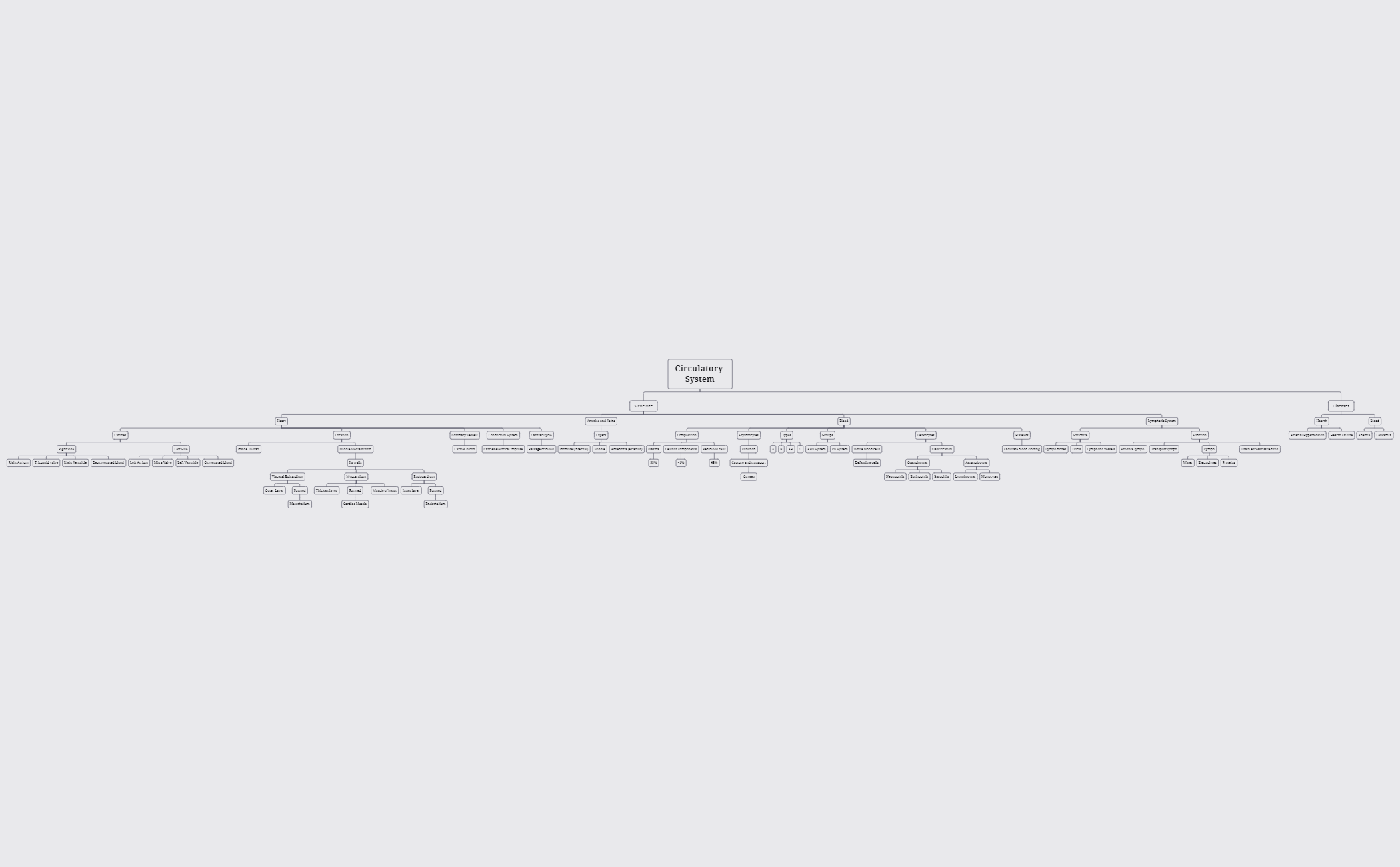 Untitled 3 - XMind Template