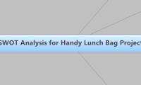  SWOT Analysis for Handy Lunch Bag Project