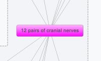 12 pairs of cranial nerves